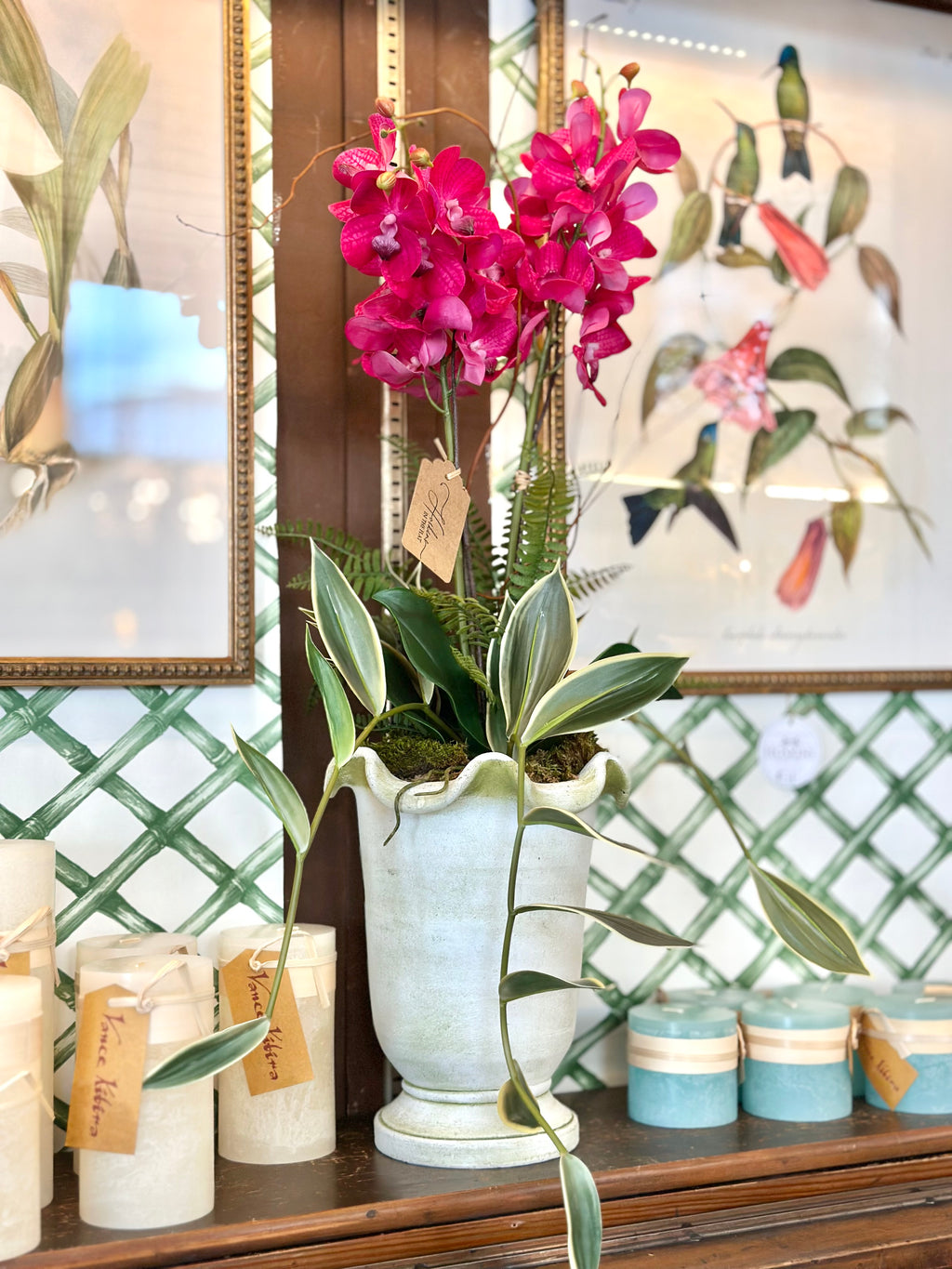 Pink Orchid & Bamboo