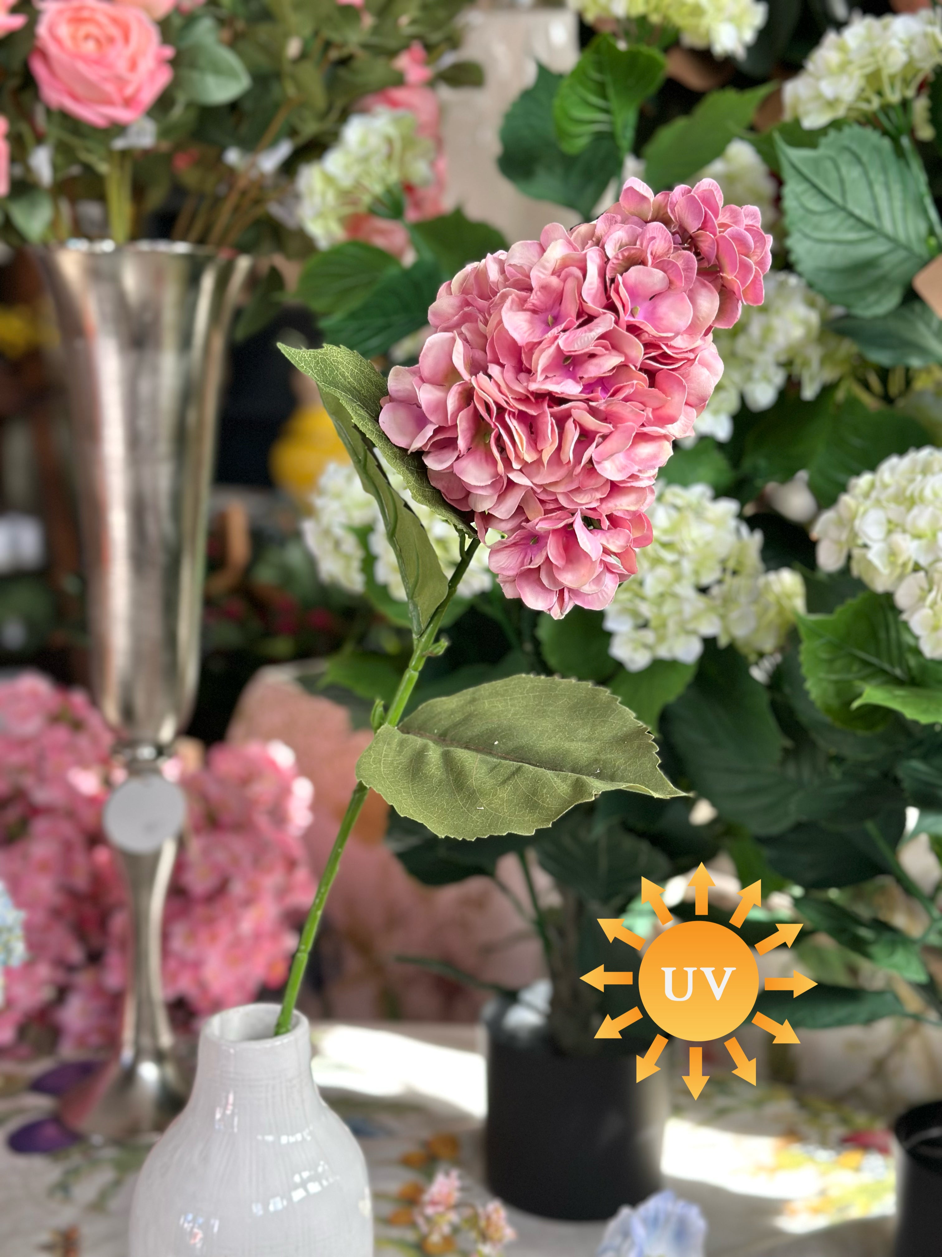 29" UV GRANDE SUMMER PEEGEE HYDRANGEA