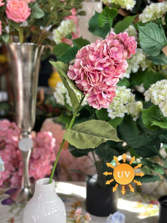 29" UV GRANDE SUMMER PEEGEE HYDRANGEA