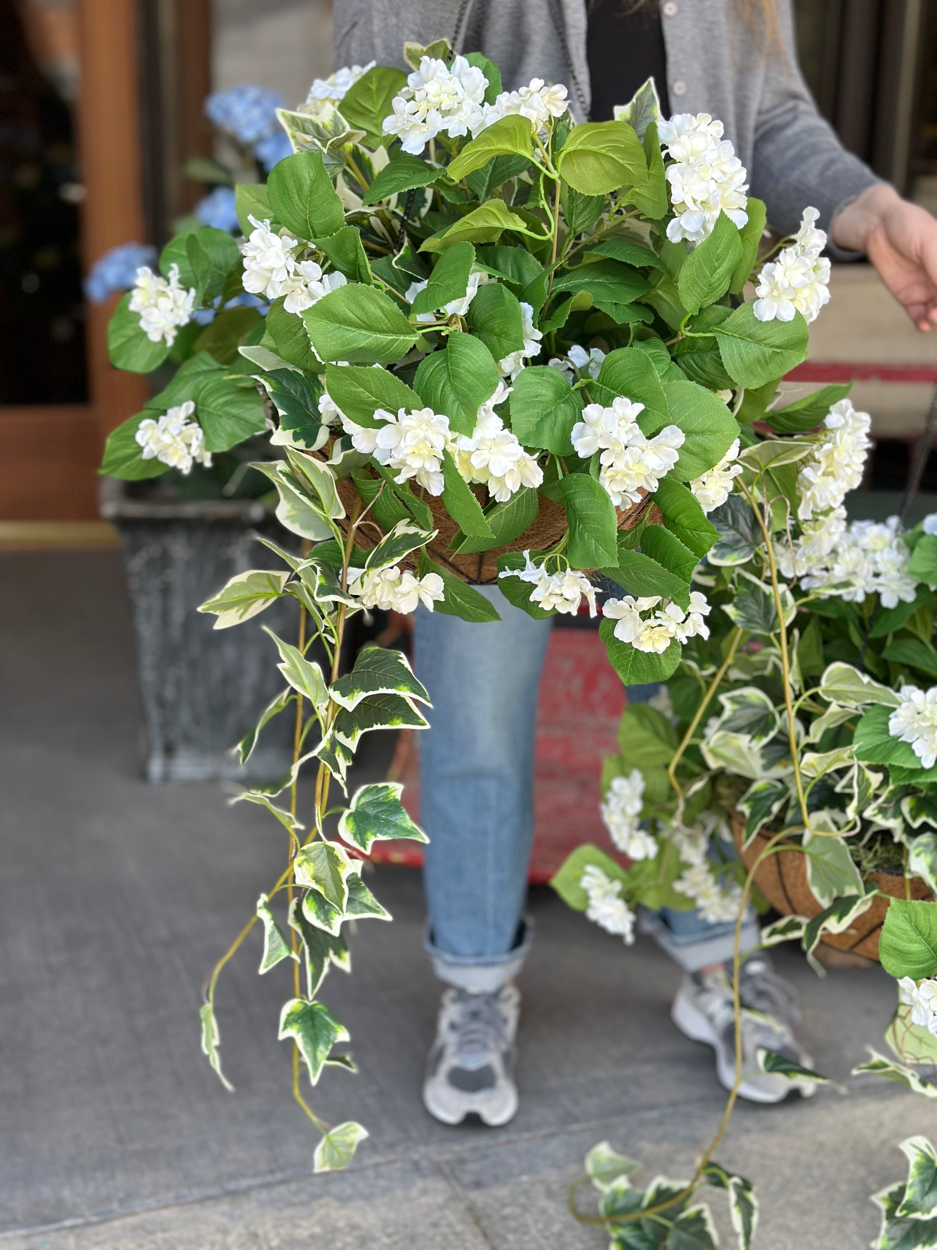 Ivy & White Hydrangea Hanging Basket