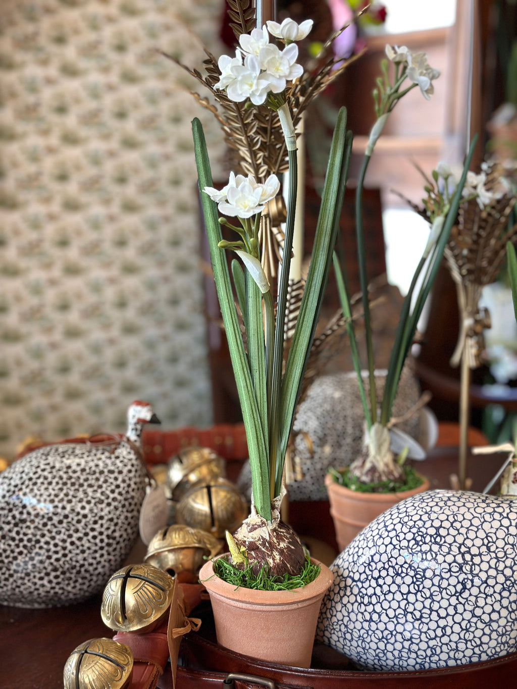 Paperwhite and Bulb Arrangement