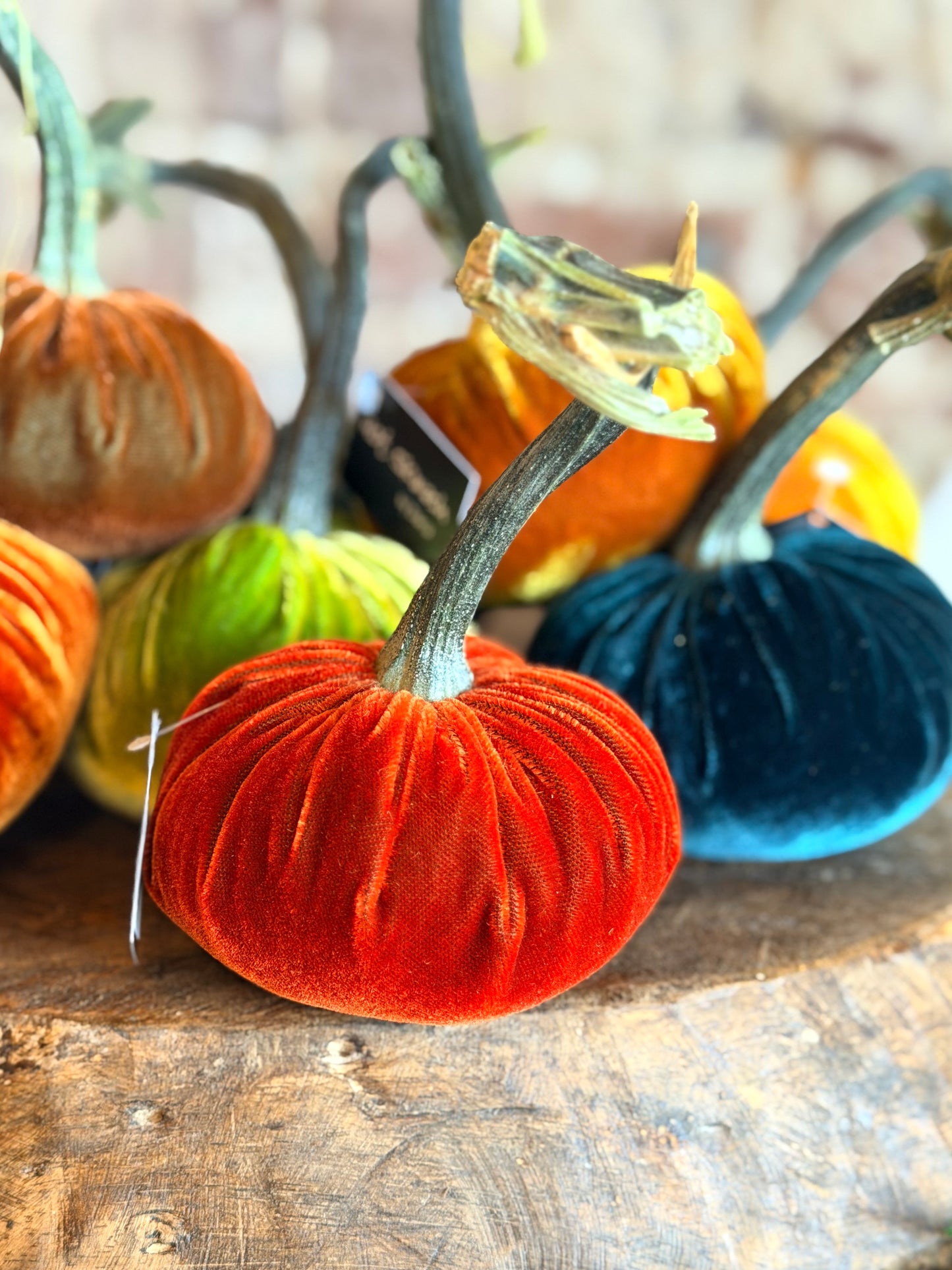 4" Velvet Pumpkin (Silk Options)