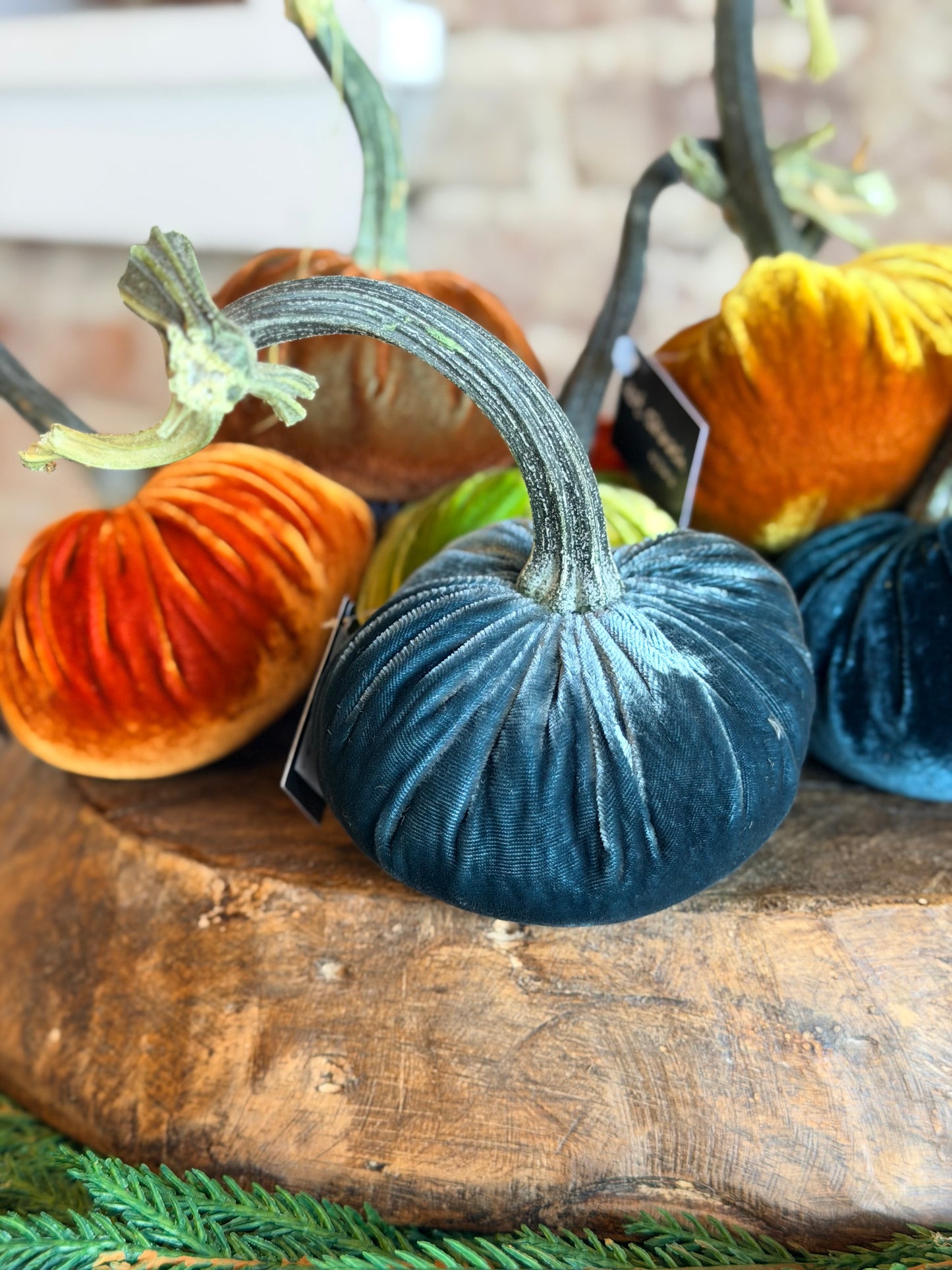 4" Velvet Pumpkin (Silk Options)