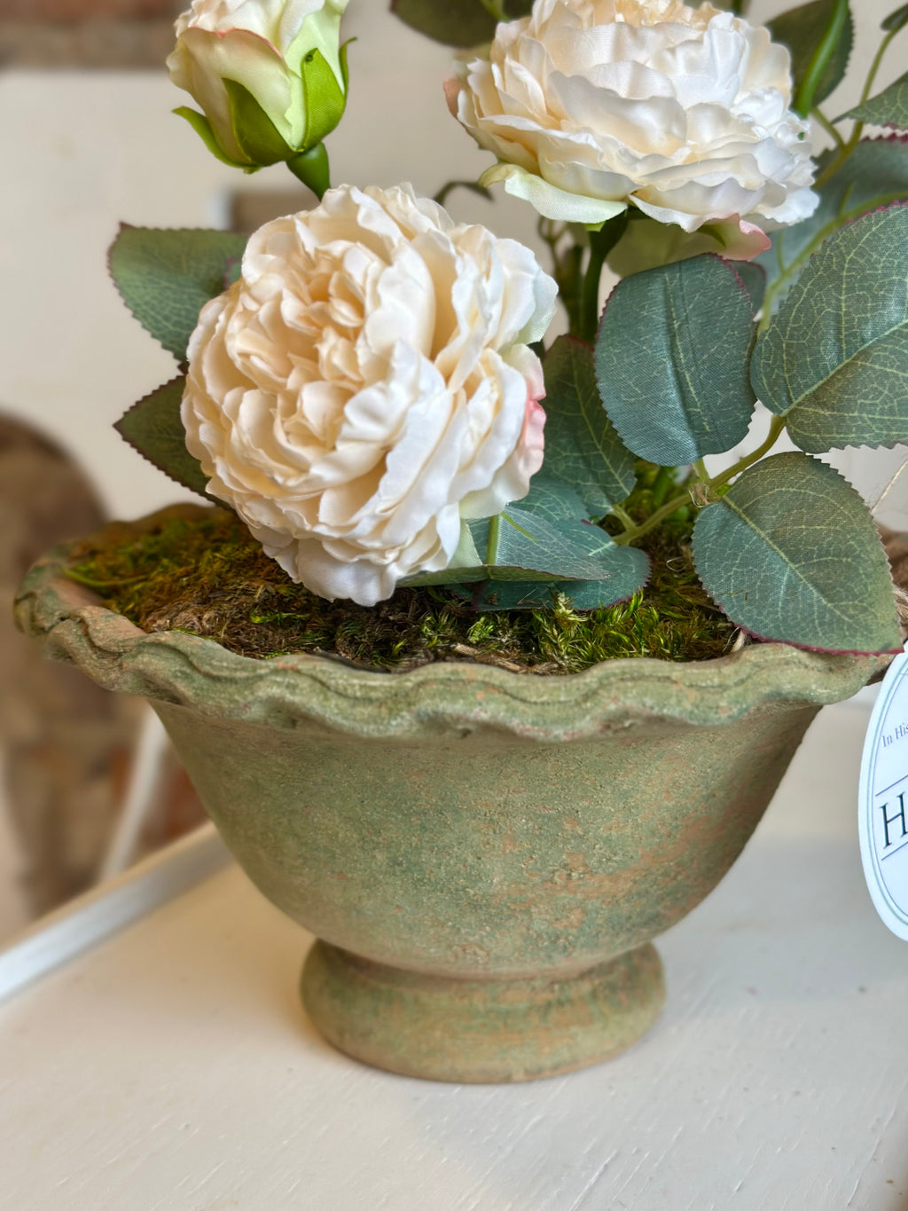 Potted “Freeze-dry” Garden Roses