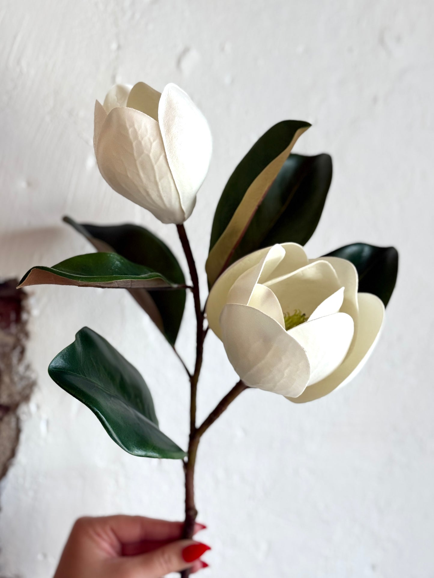 18" MAGNOLIA X2 WITH SEED, NATURAL