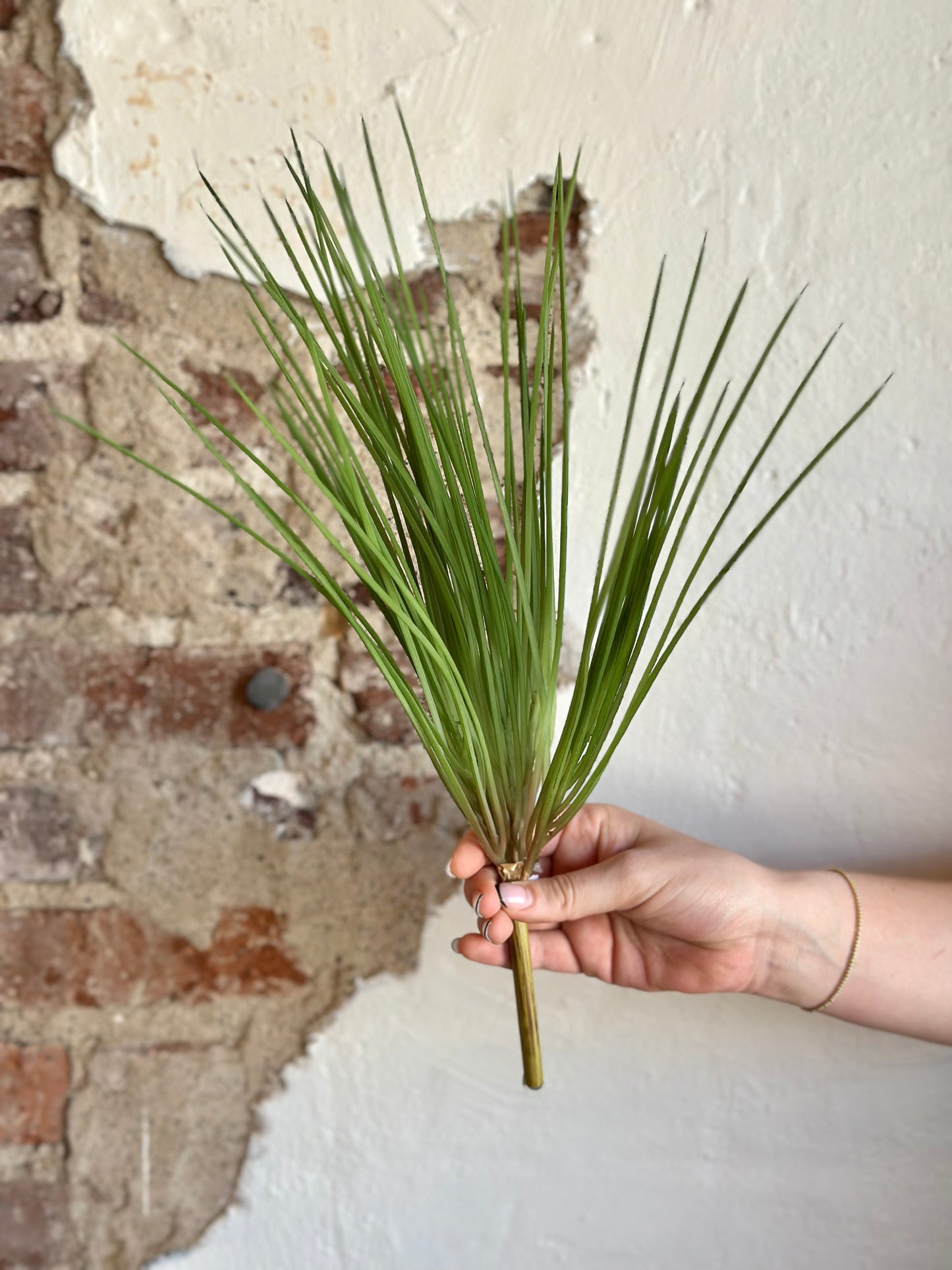 17.5" Onion Grass Bush