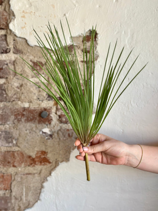 17.5" Onion Grass Bush