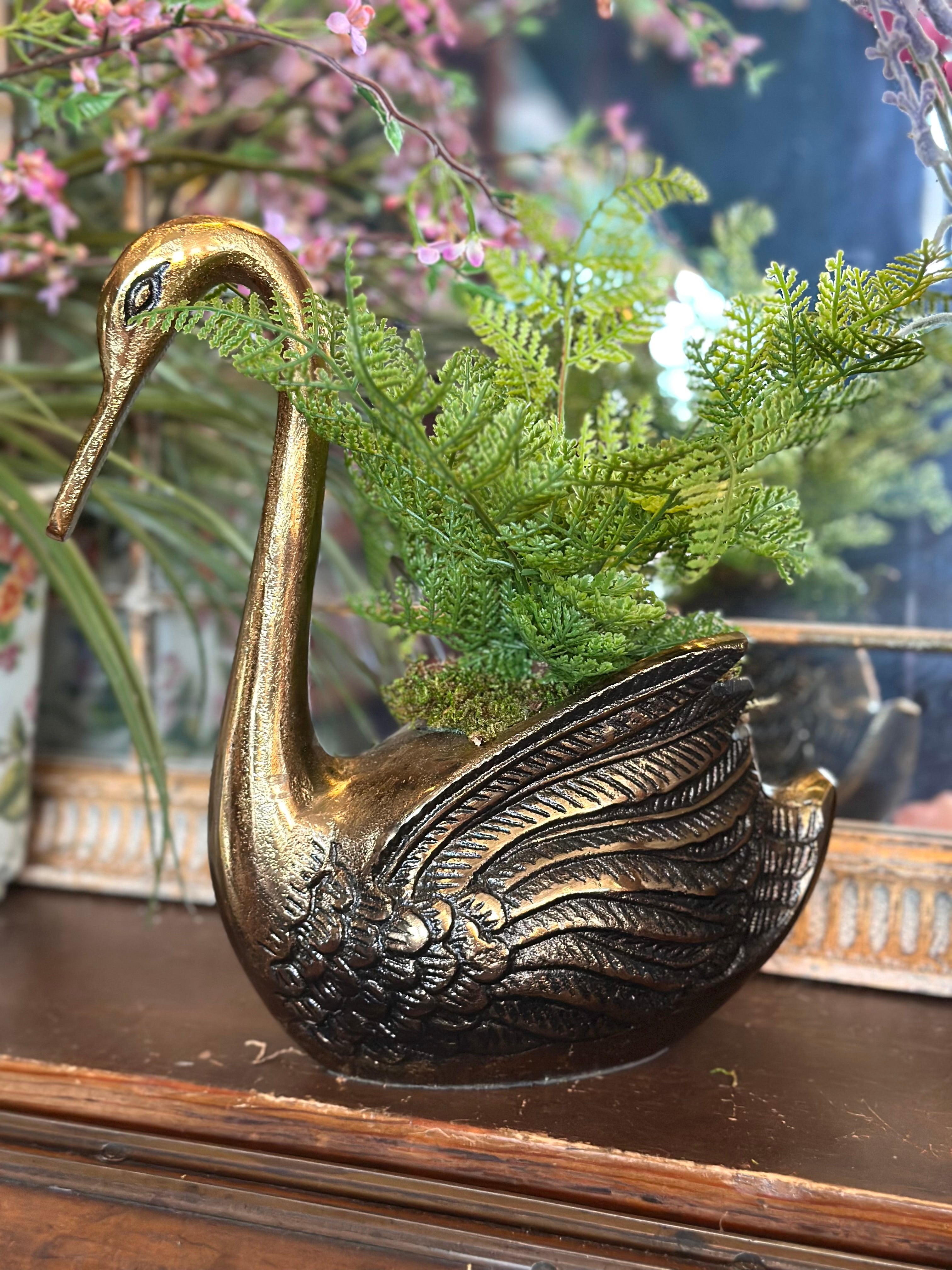 Swan & Fern