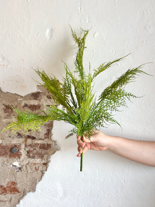 23” Asparagus Fern Bush