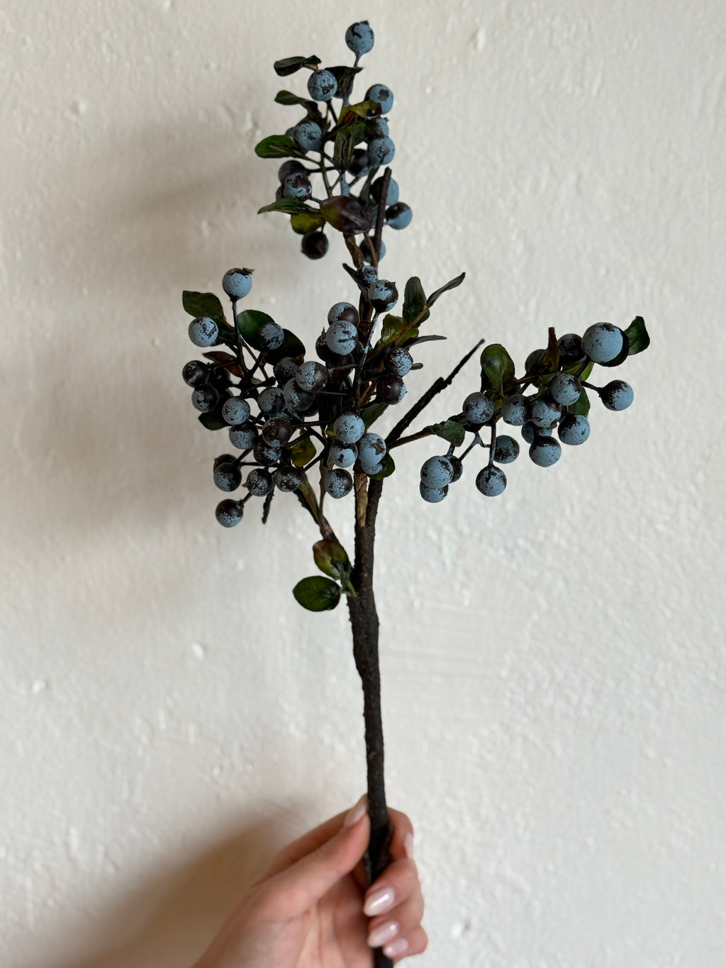 BLUEBERRY CLUSTER X3 18"
