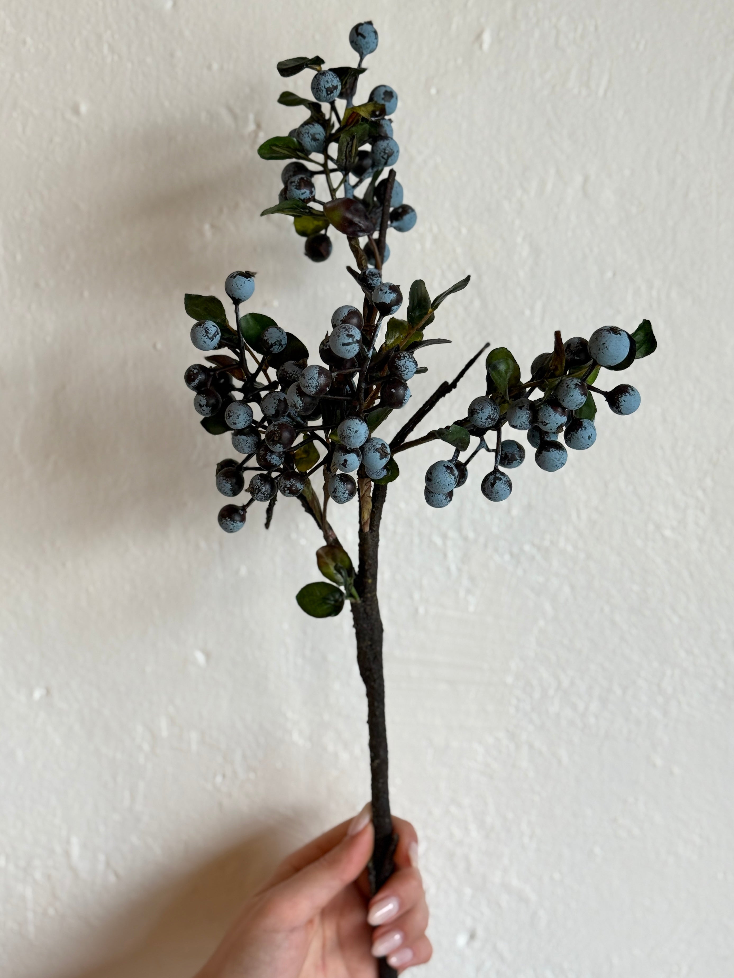 BLUEBERRY CLUSTER X3 18"