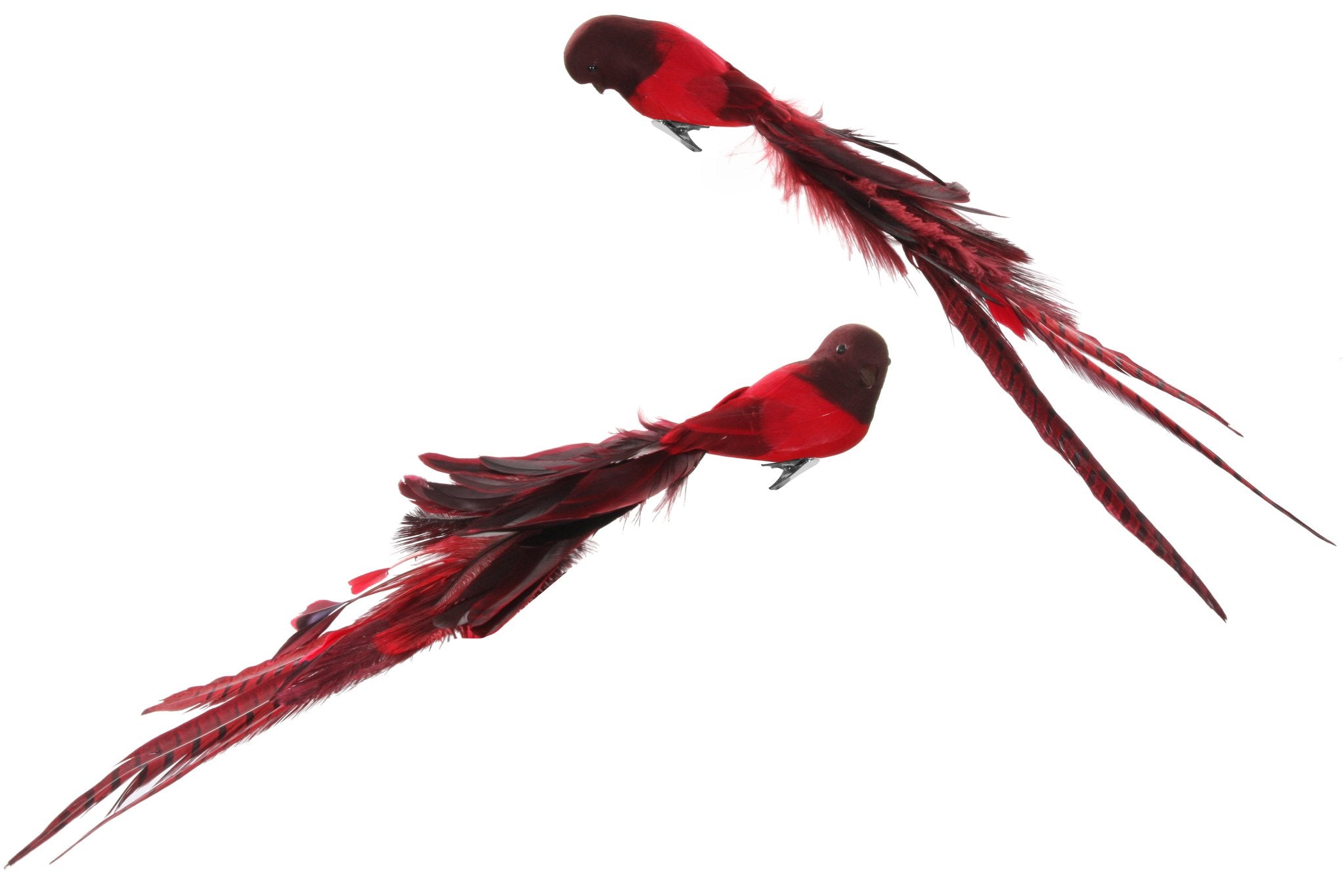 Bird Clip w/ Mixed Red Feather Tail