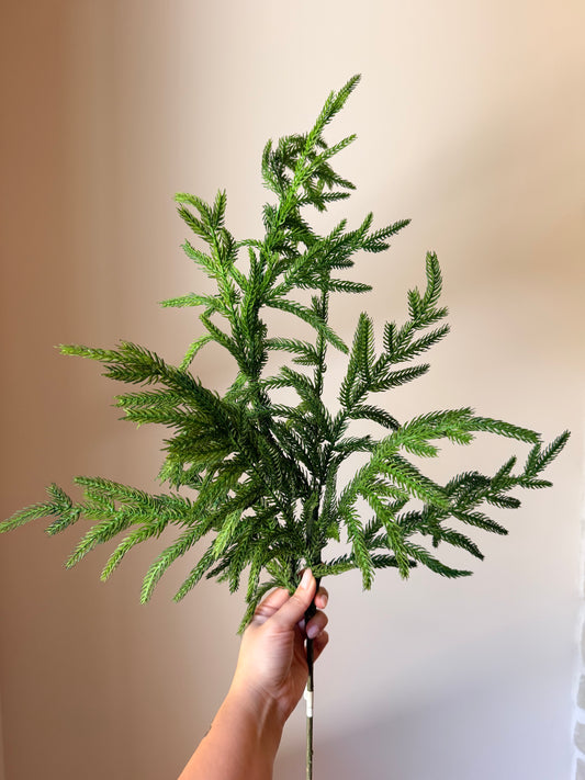 38" NATURAL TOUCH NORFOLK PINE SPRAY