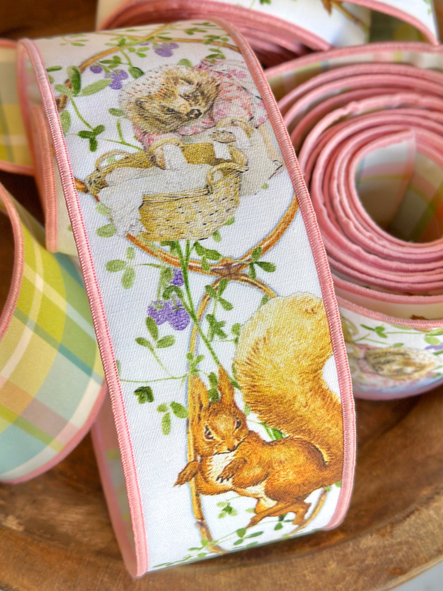 Mrs. Tiggy-Winkle & Squirrel Nutkin Ribbon