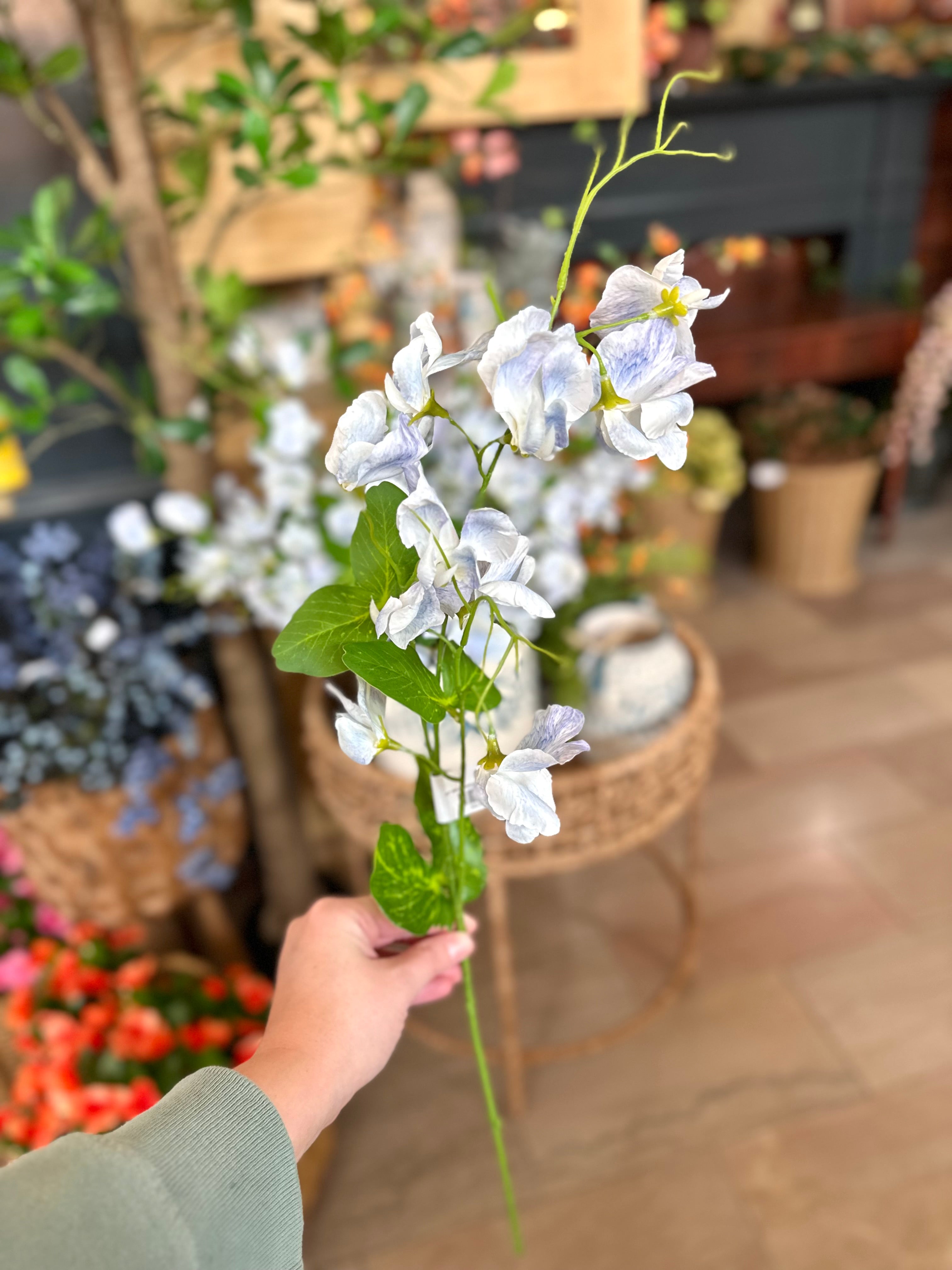 22" WILD SWEET PEA STEM