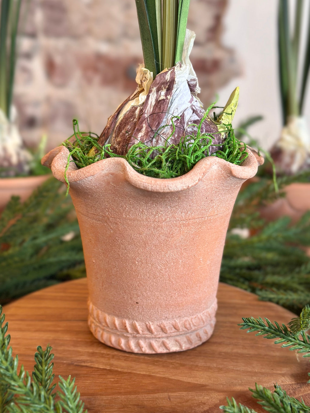 Paperwhite and Bulb Arrangement Terracotta Pot (POT OPTIONS)
