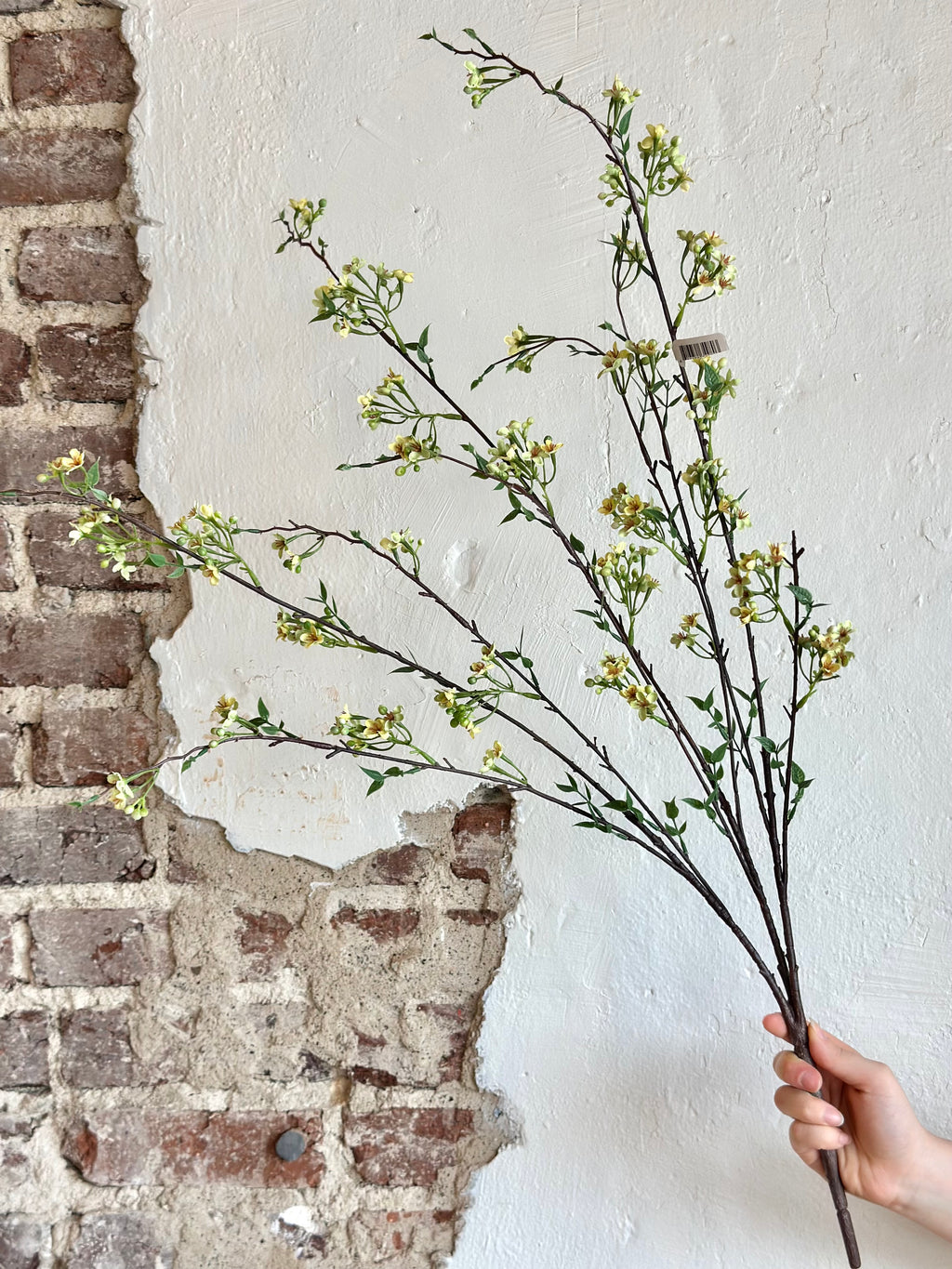 35” Mountain Blossom