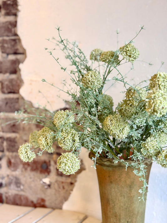 WILD ALLIUM BUSH 24" - CREAM