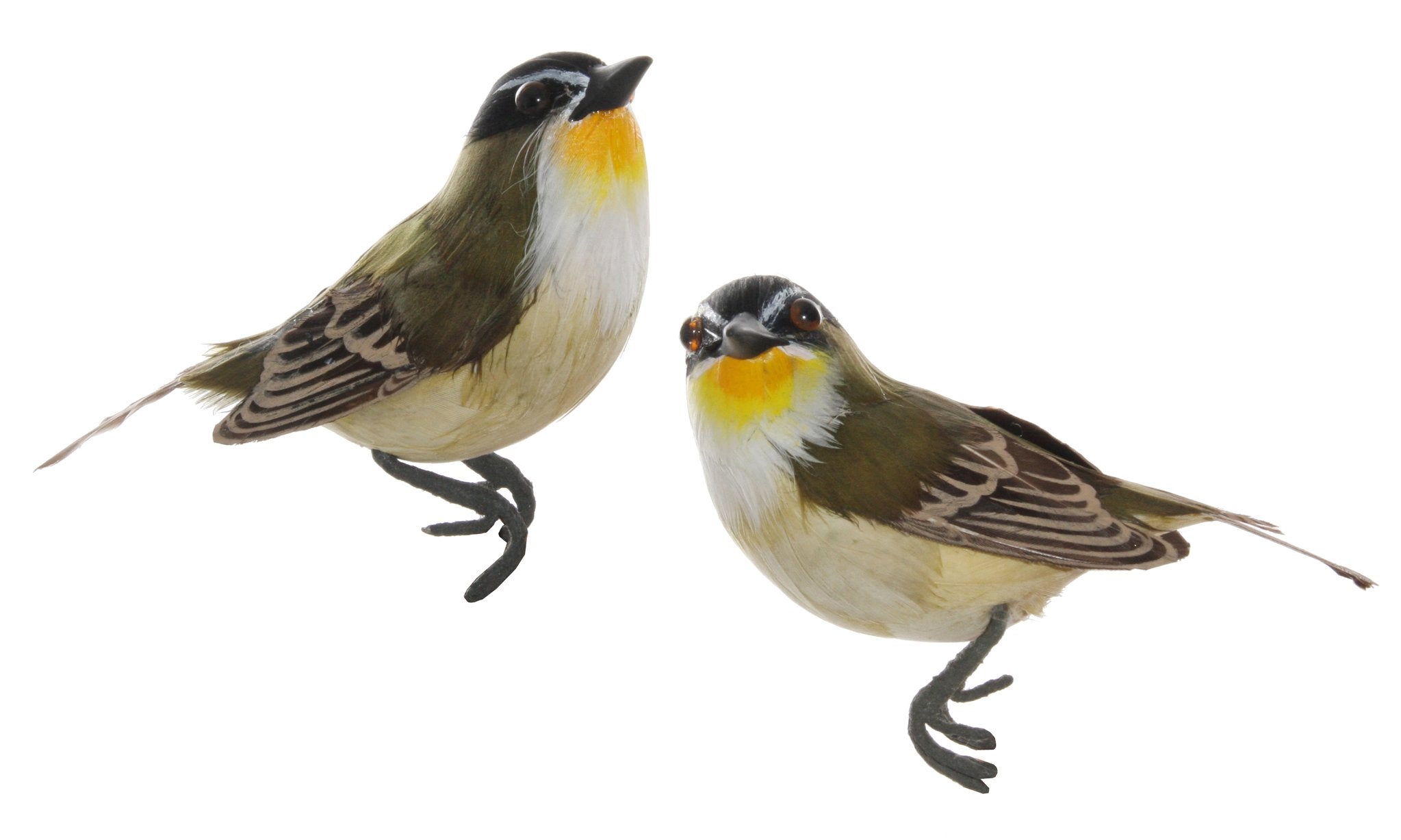 4" Feather Bird w/ Green & Yellow Tail