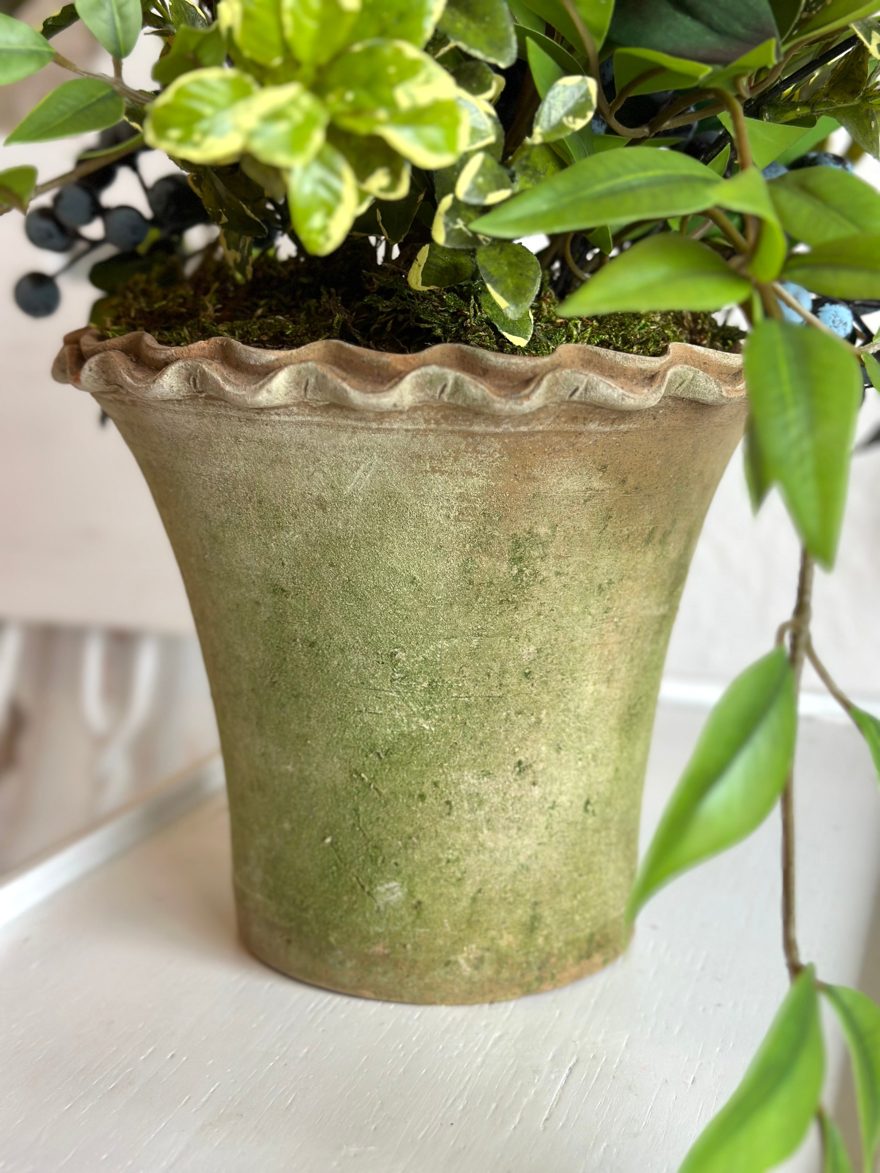 Peony Berry in Terracotta