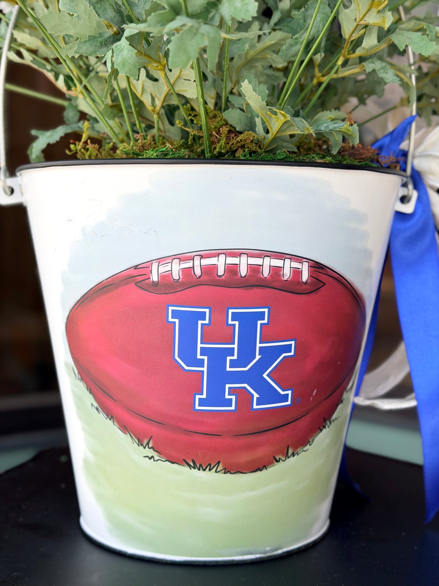 UK Daisy Bucket