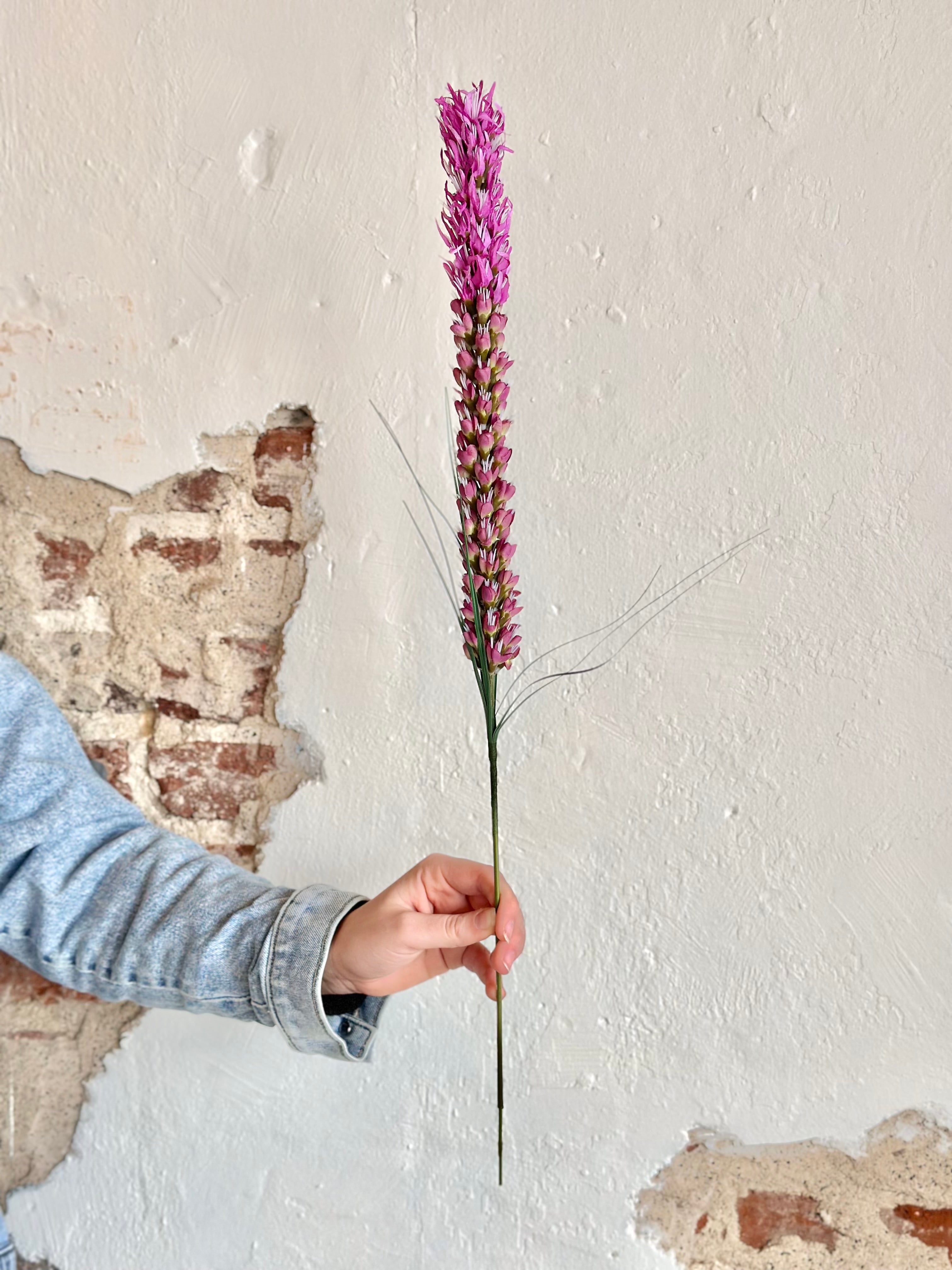 LIATRIS SPRAY 26" PURPLE