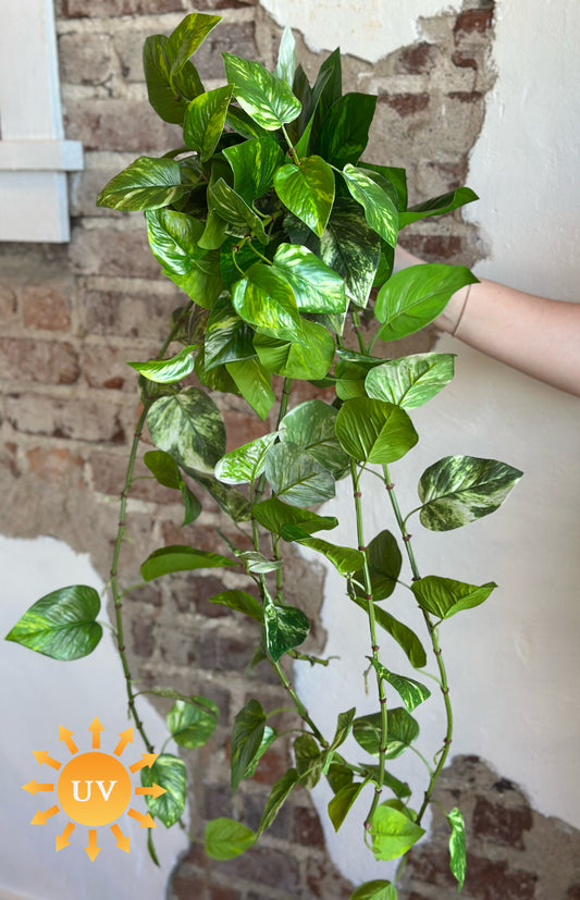 42" UV Proof Natural Touch Pothos Hanging Plant
