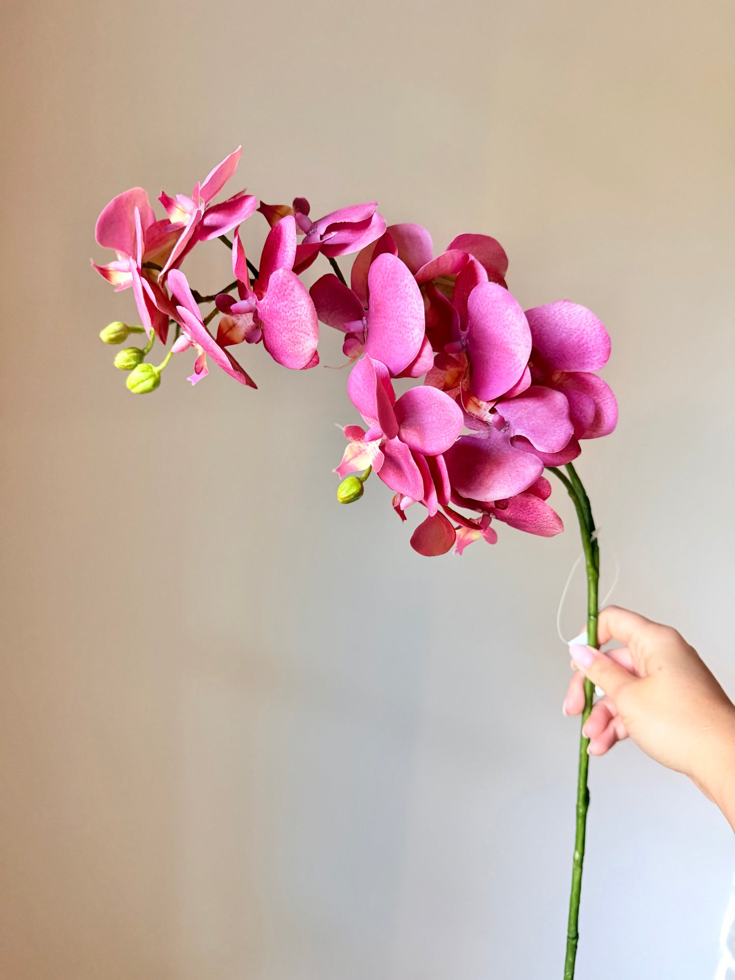 34" PHALAENOPSIS ORCHID SPRAY- MAUVE