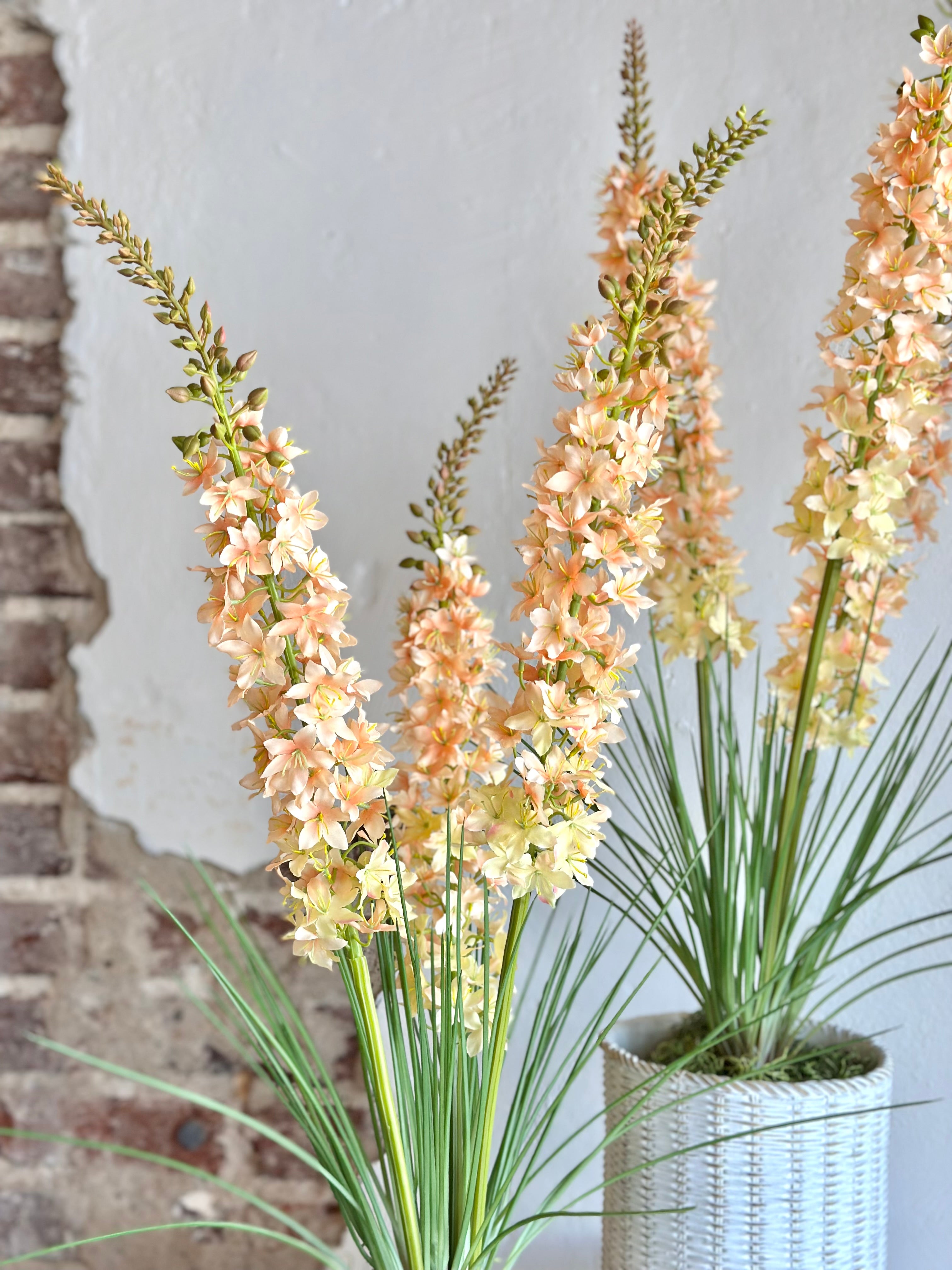 Potted Delphinium in Wicker Style Pot