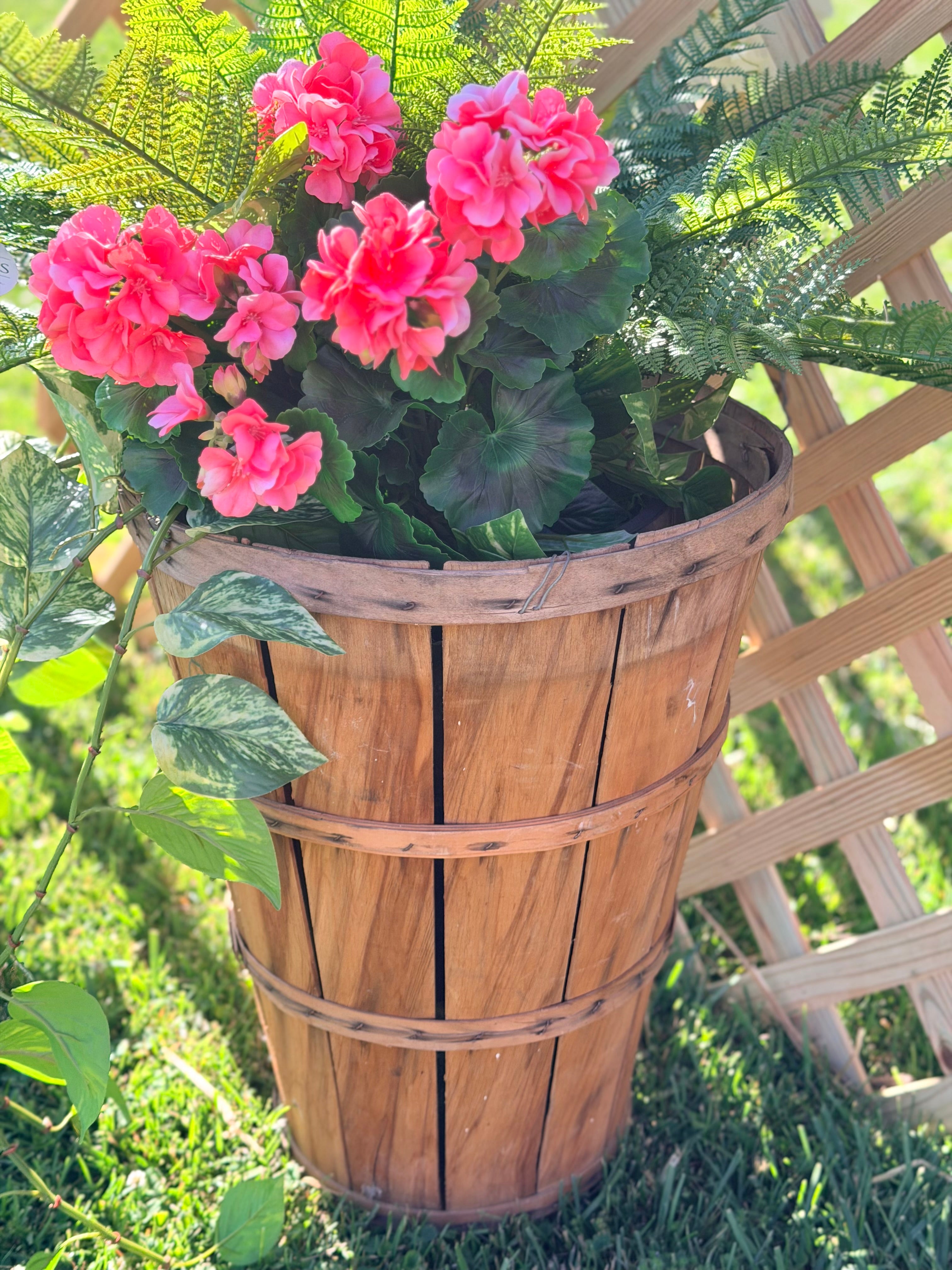 Pink Geraniums, Fern, and Ivy in Antique Brown Basket