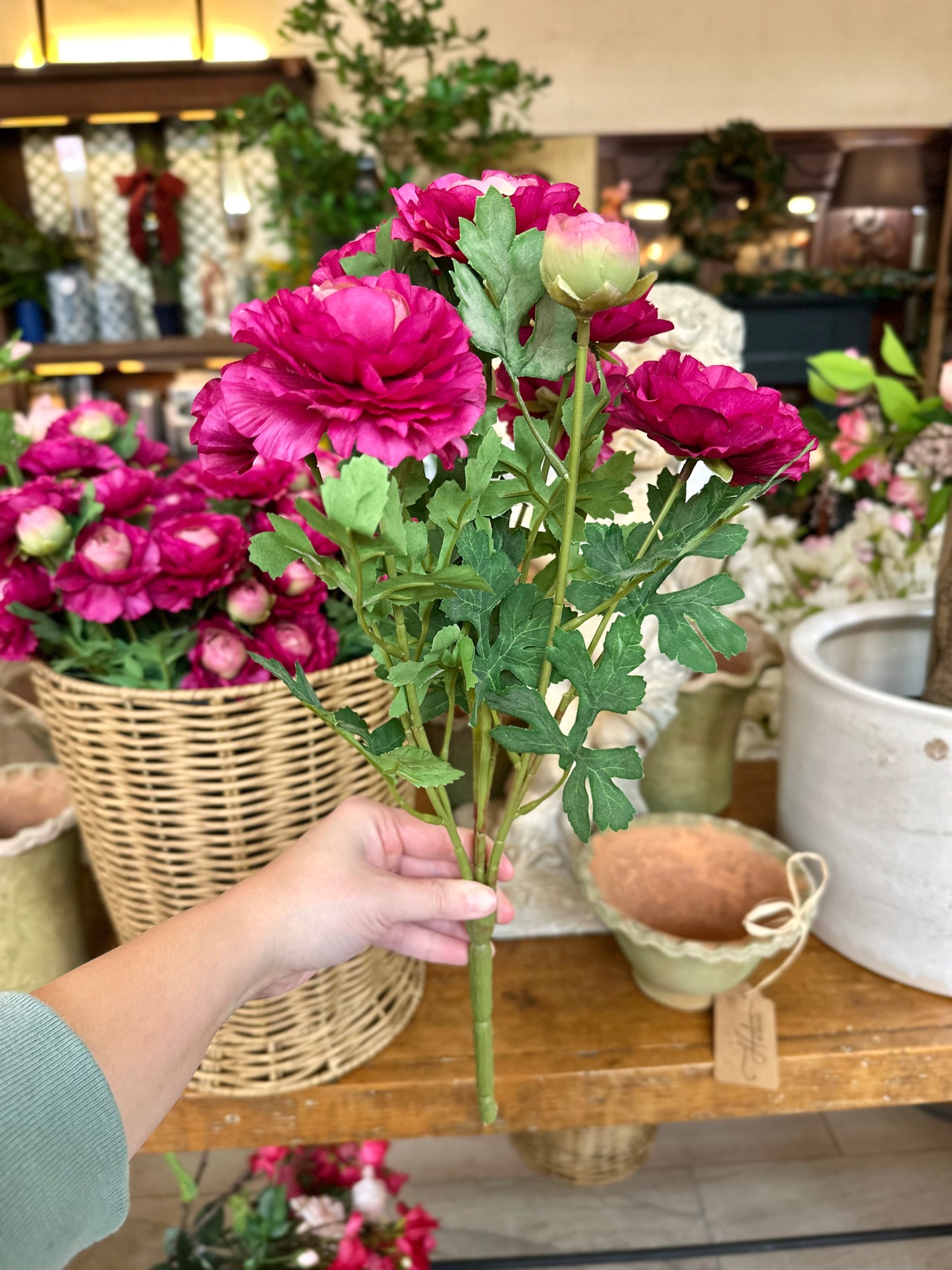 RANUNCULUS PLANT 16" (COLOR OPTIONS)