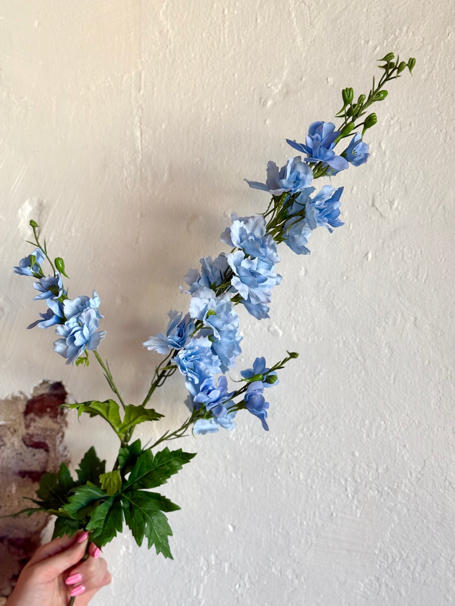 DELPHINIUM SPRAY 36" -LIGHT BLUE
