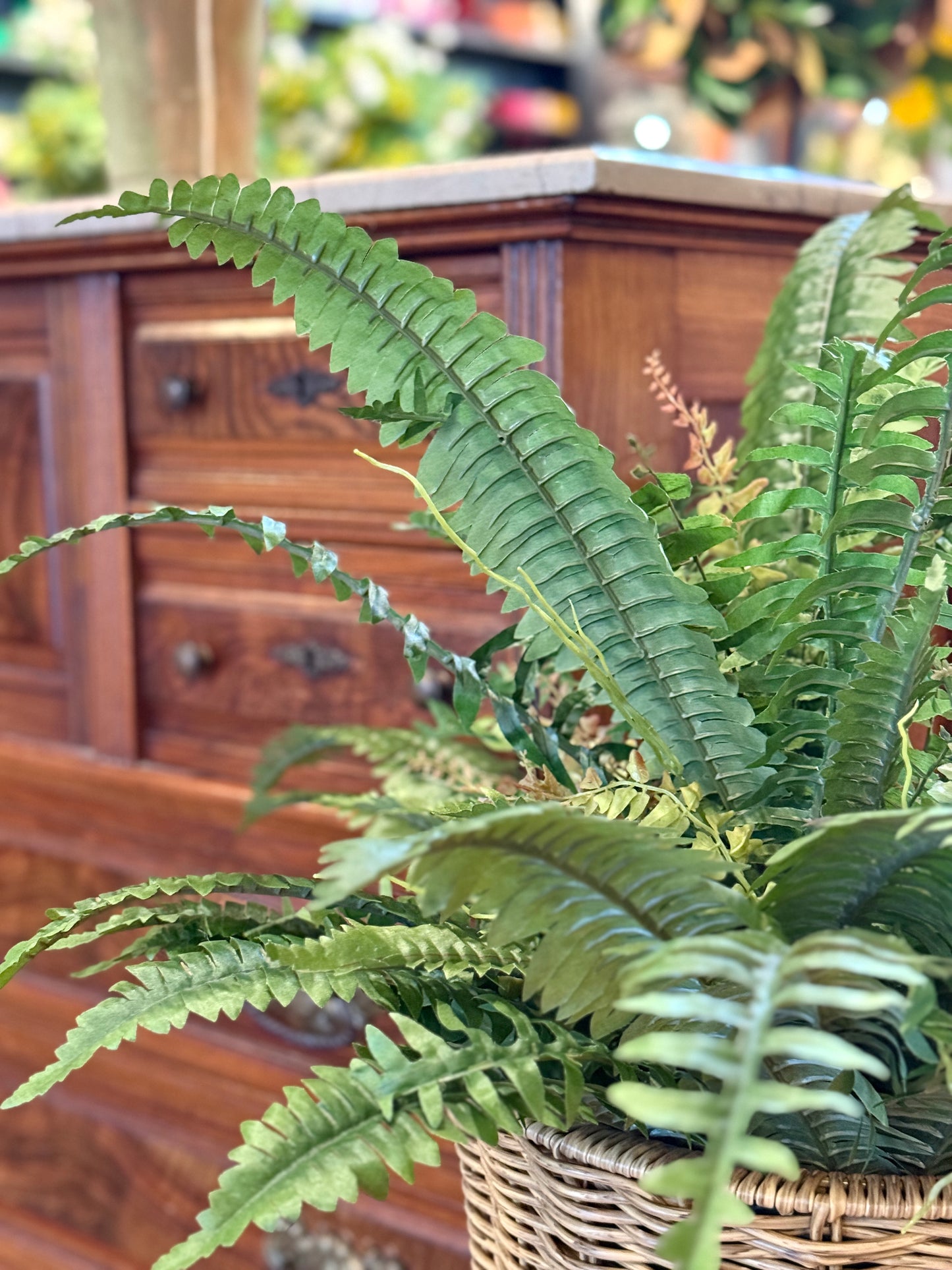 32" UV Estate Upright Boston Fern