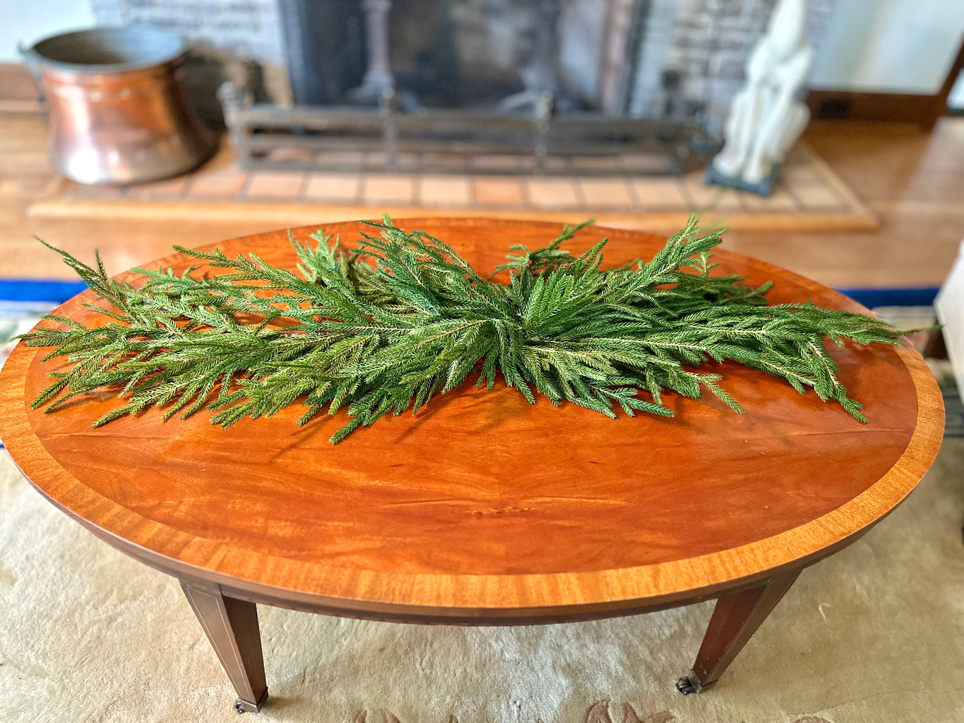 52" AUSTRIAN PINE SWAG