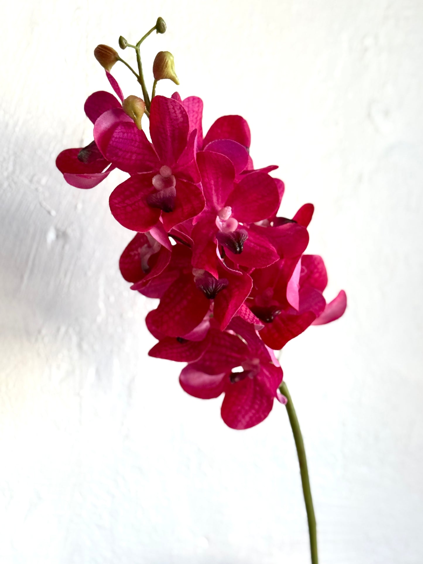 Just Cut Vanda Orchid Spray 27”
