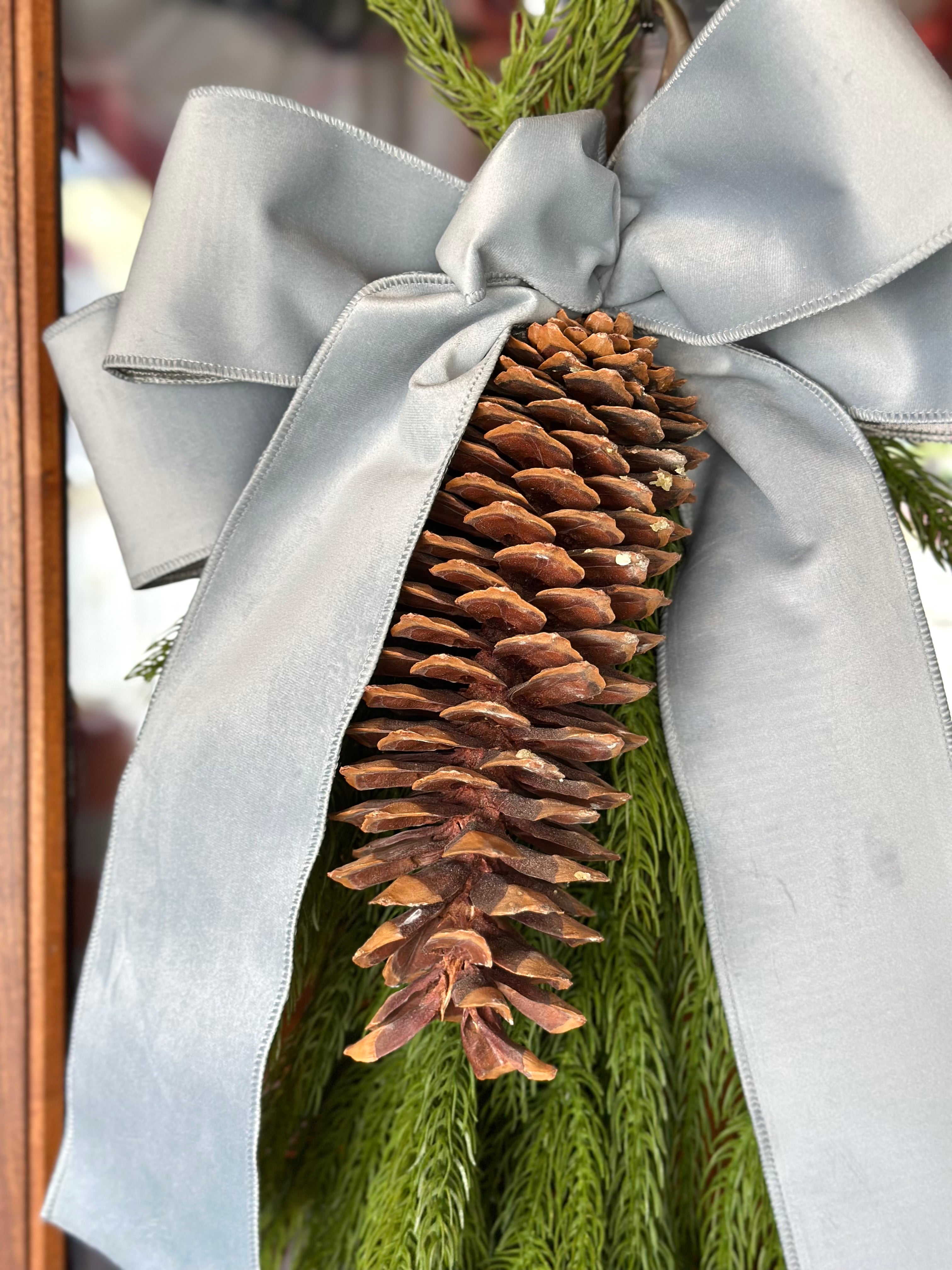 Forest Norfolk Pine with Floppy Velvet Bow (COLOR OPTIONS)