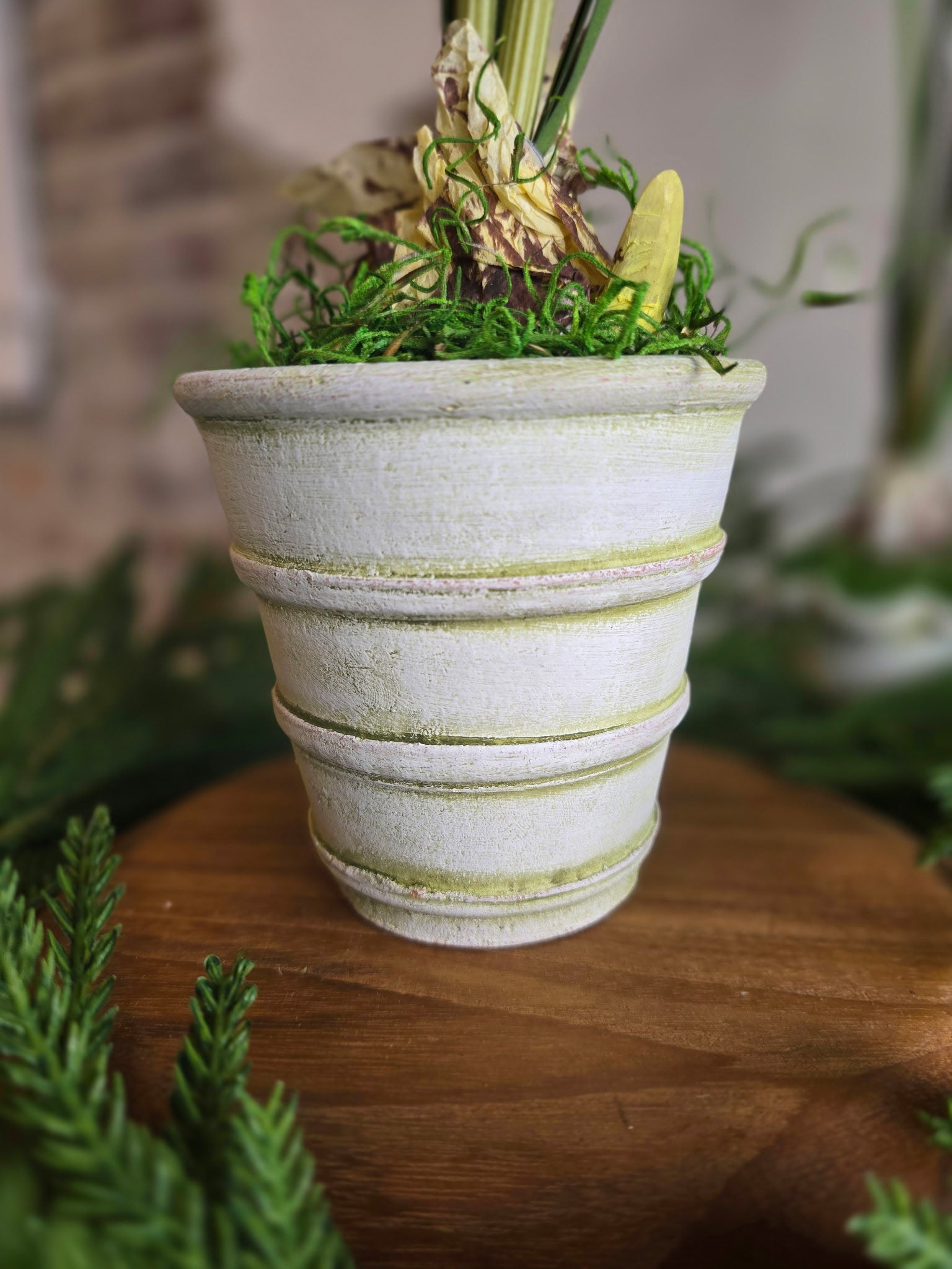 Paperwhite and Bulb Arrangement White Pot (Pot Design Options)