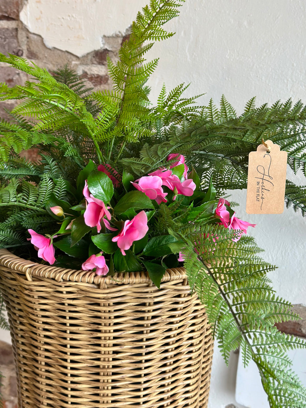 UV Pink Impatiens & Fern Potted Arrangement