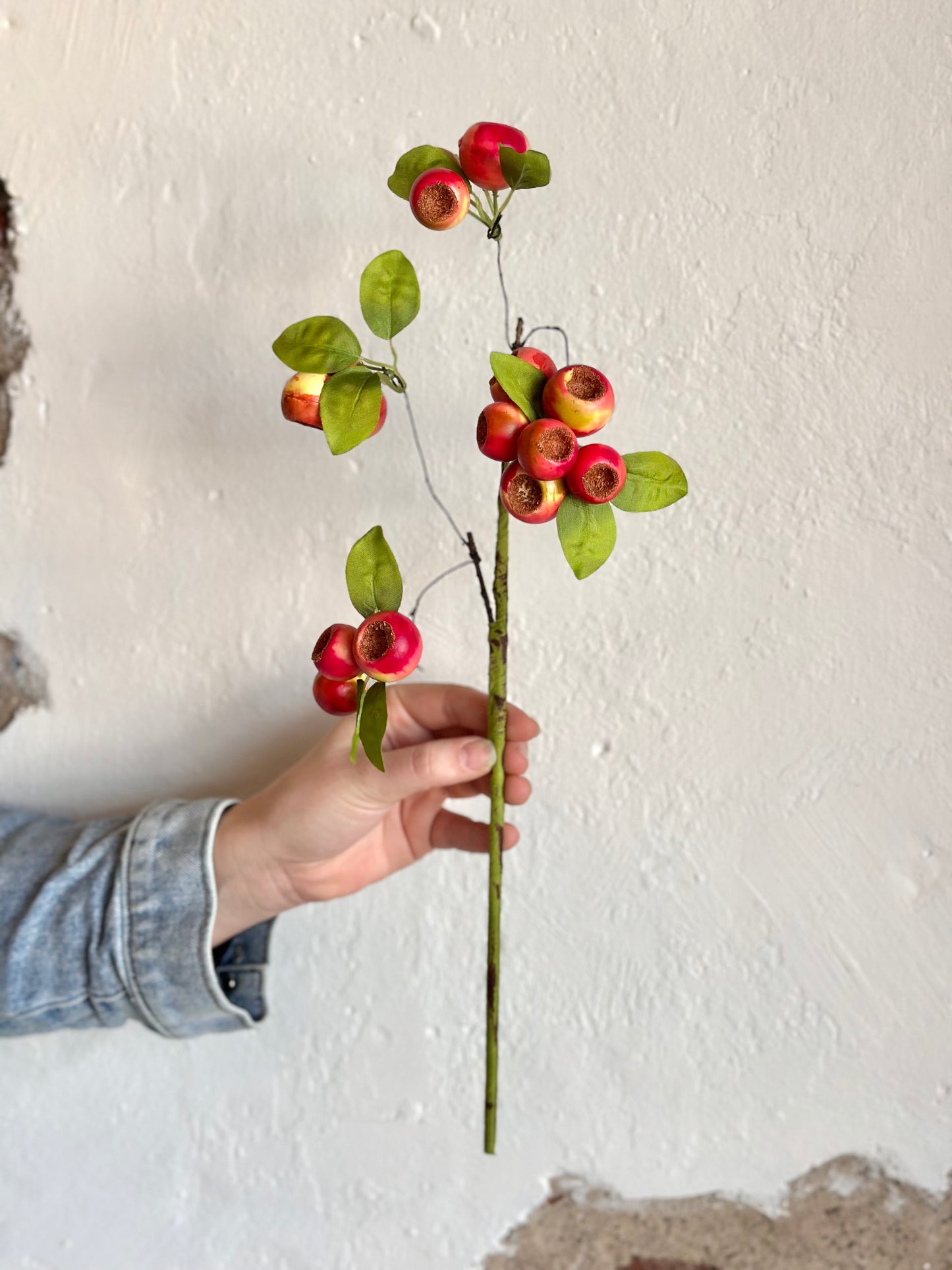 CRATER BERRY PICK 20" ROSE/GREEN