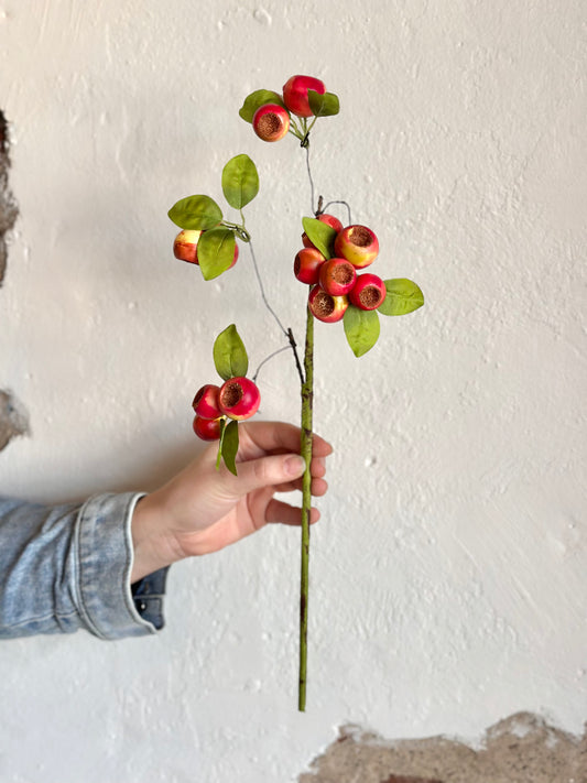 CRATER BERRY PICK 20" ROSE/GREEN