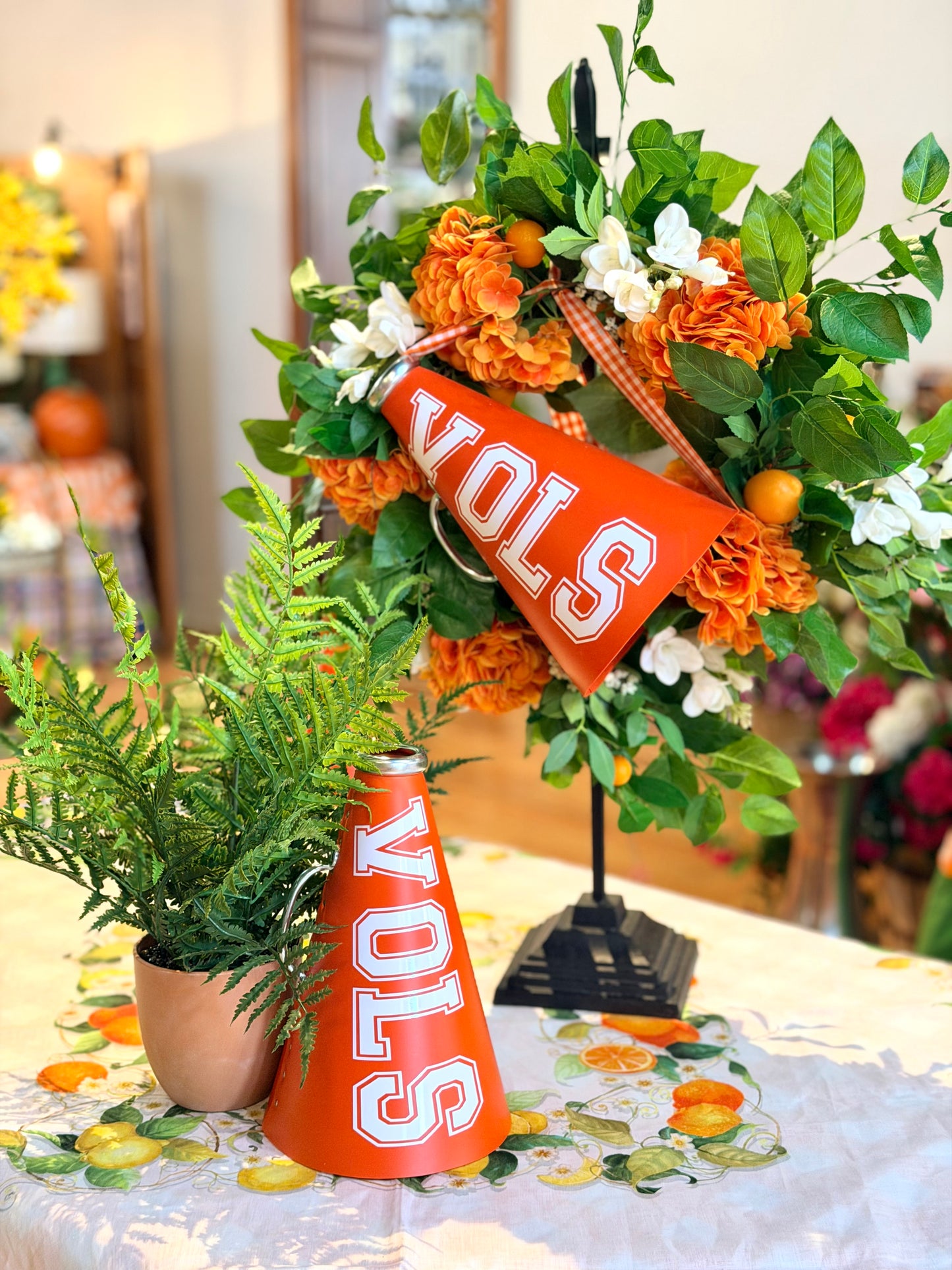 “VOLS” Megaphone