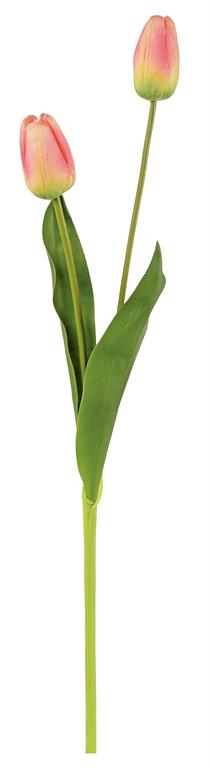 NATURAL-TOUCH DARWIN TULIP X2, 23", PINK