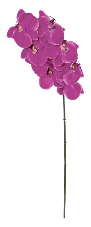 NATURAL-TOUCH PHALAENOPSIS ORCHID X8, 31", ORCHID