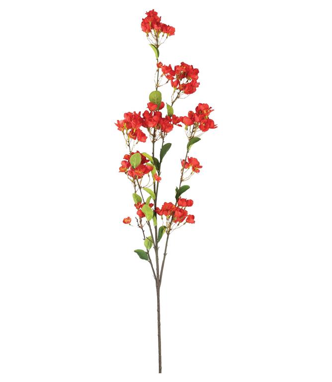 CHERRY BLOSSOM BRANCH, 48", BEAUTY