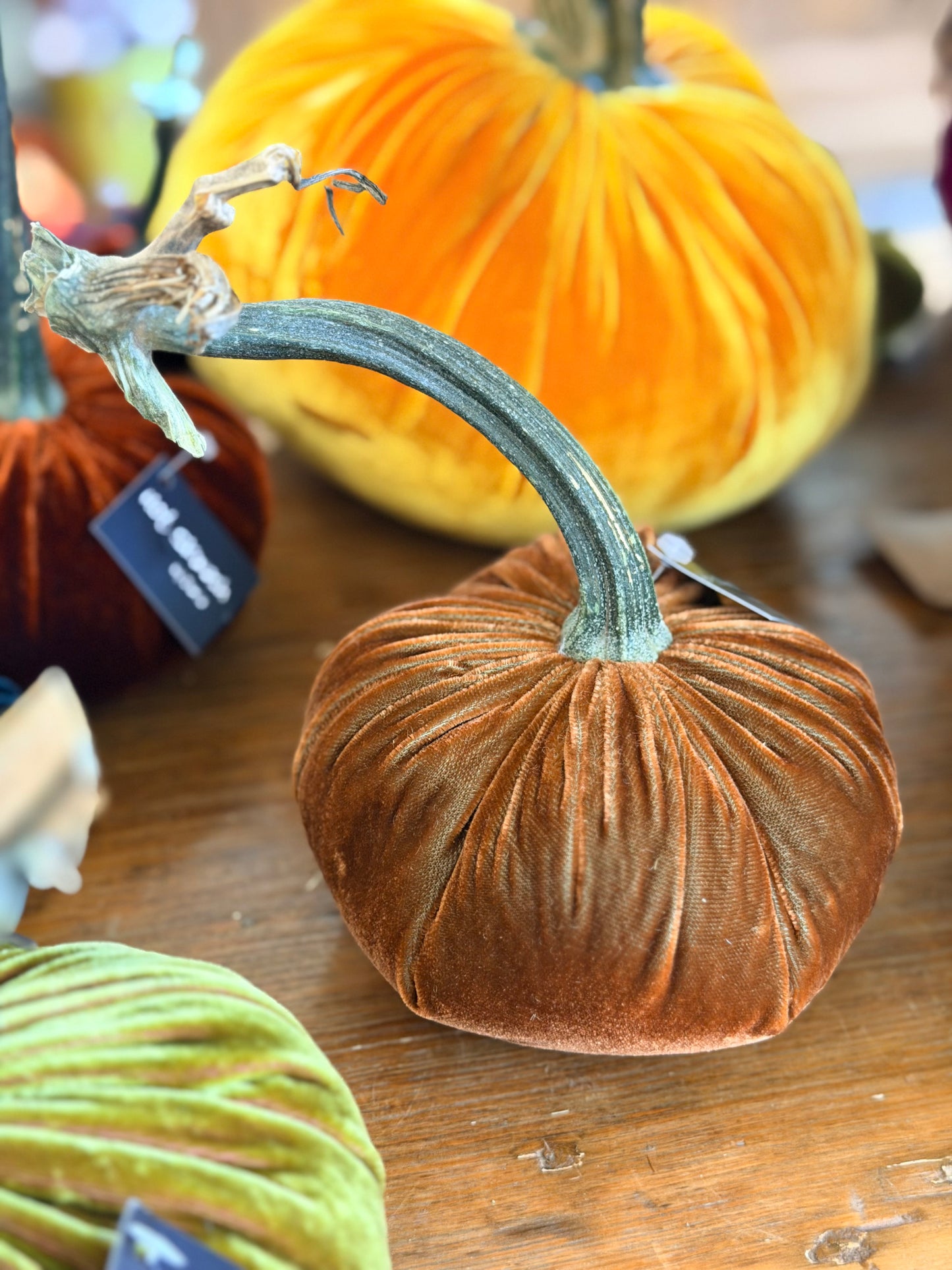 5" Velvet Pumpkin (Silk Options)