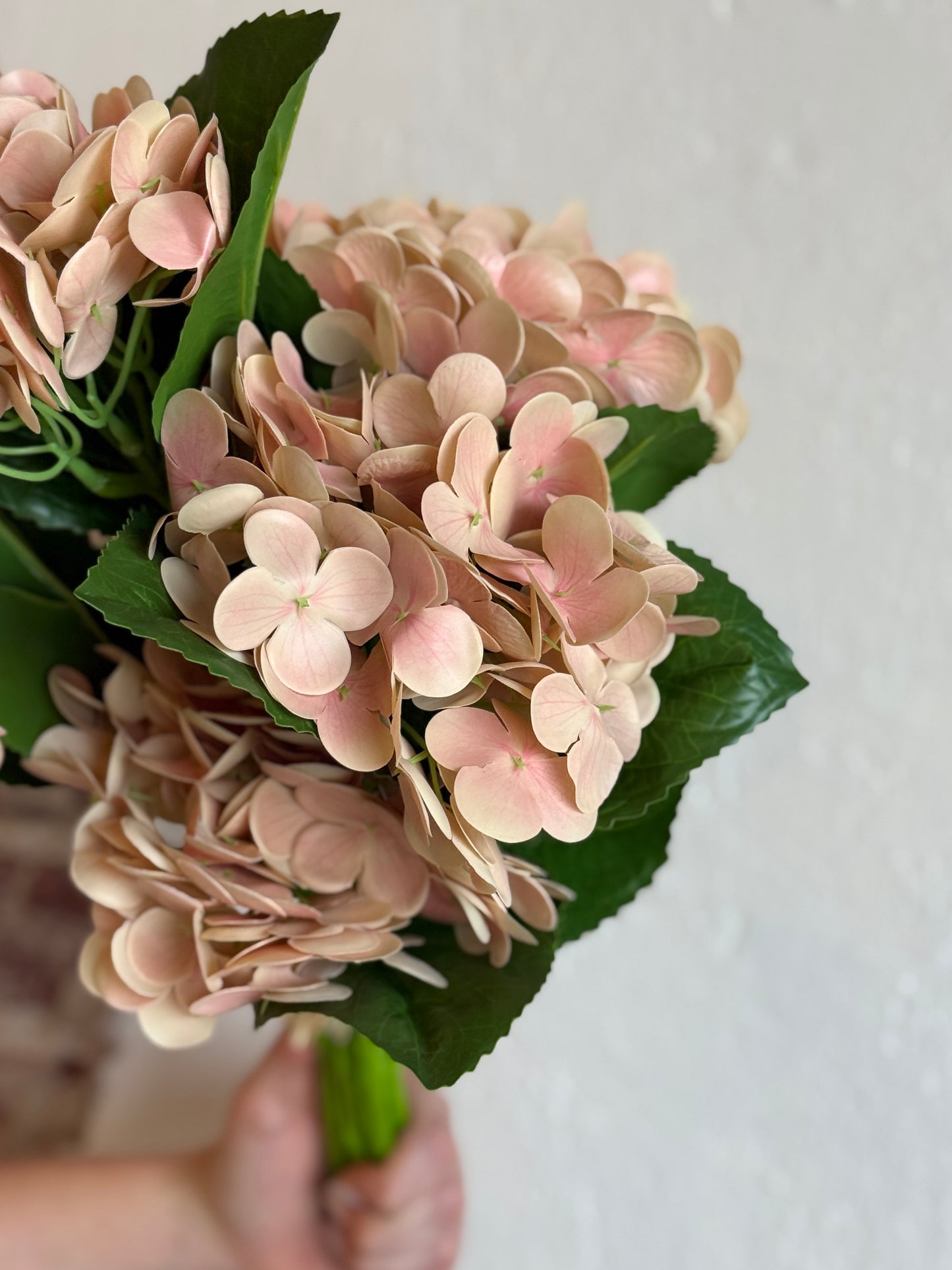 13" Light Peach Real Touch Hydrangea Bundle (6 Stems)