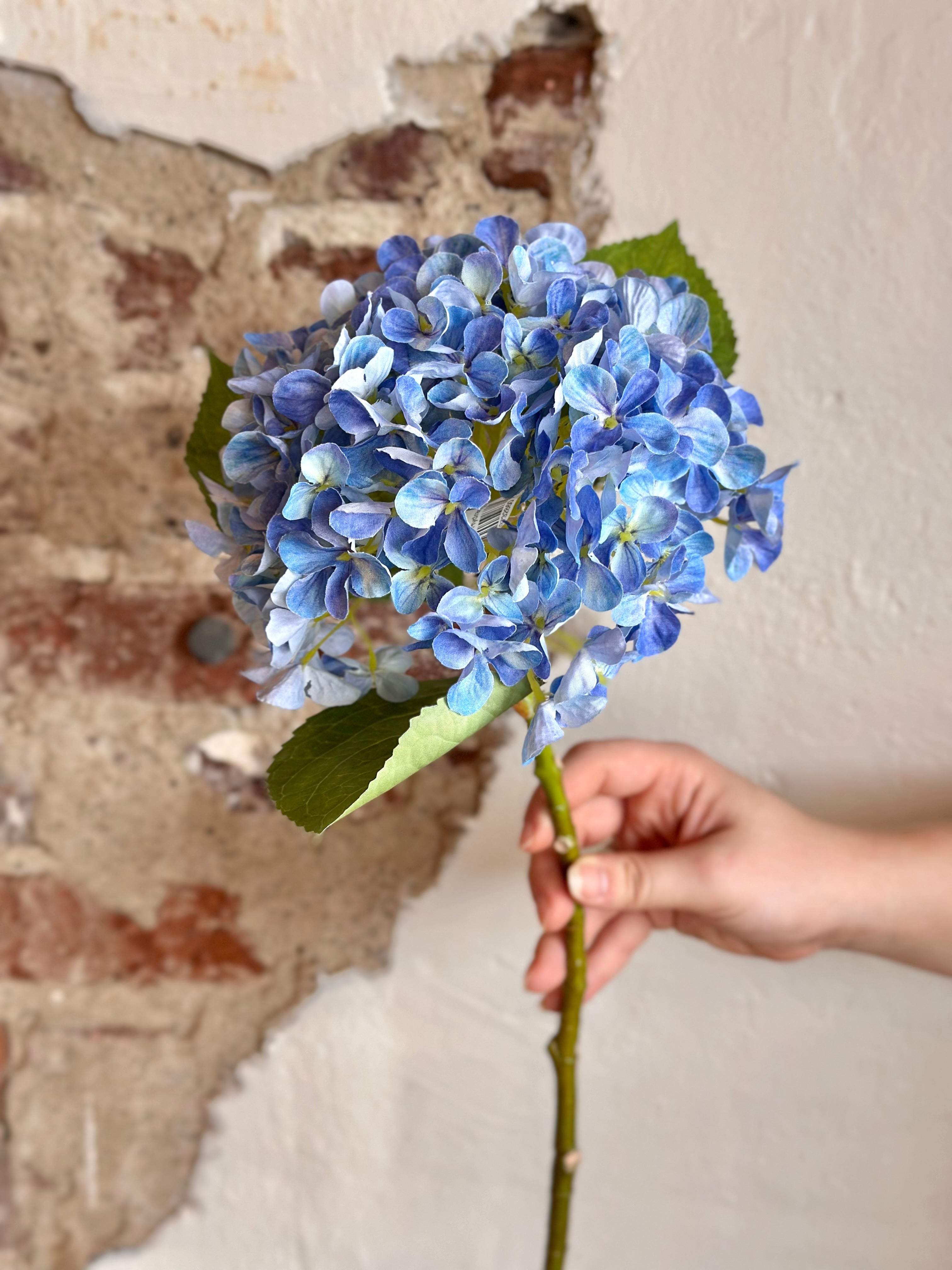 19" New England Hydrangea Stem