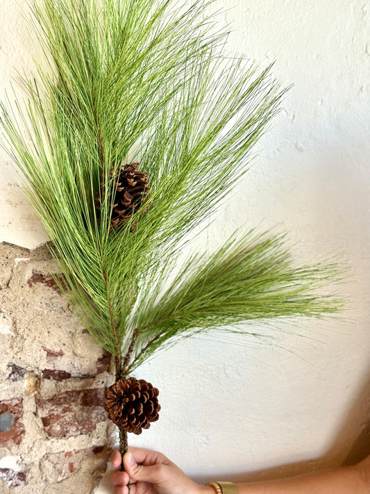 34" HORSETAIL PINE W/CONE SPRAY