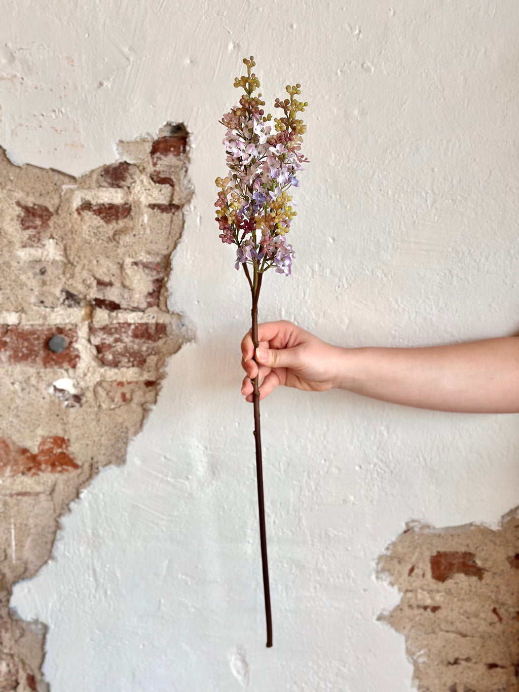 27" Just Cut Lilac Branch