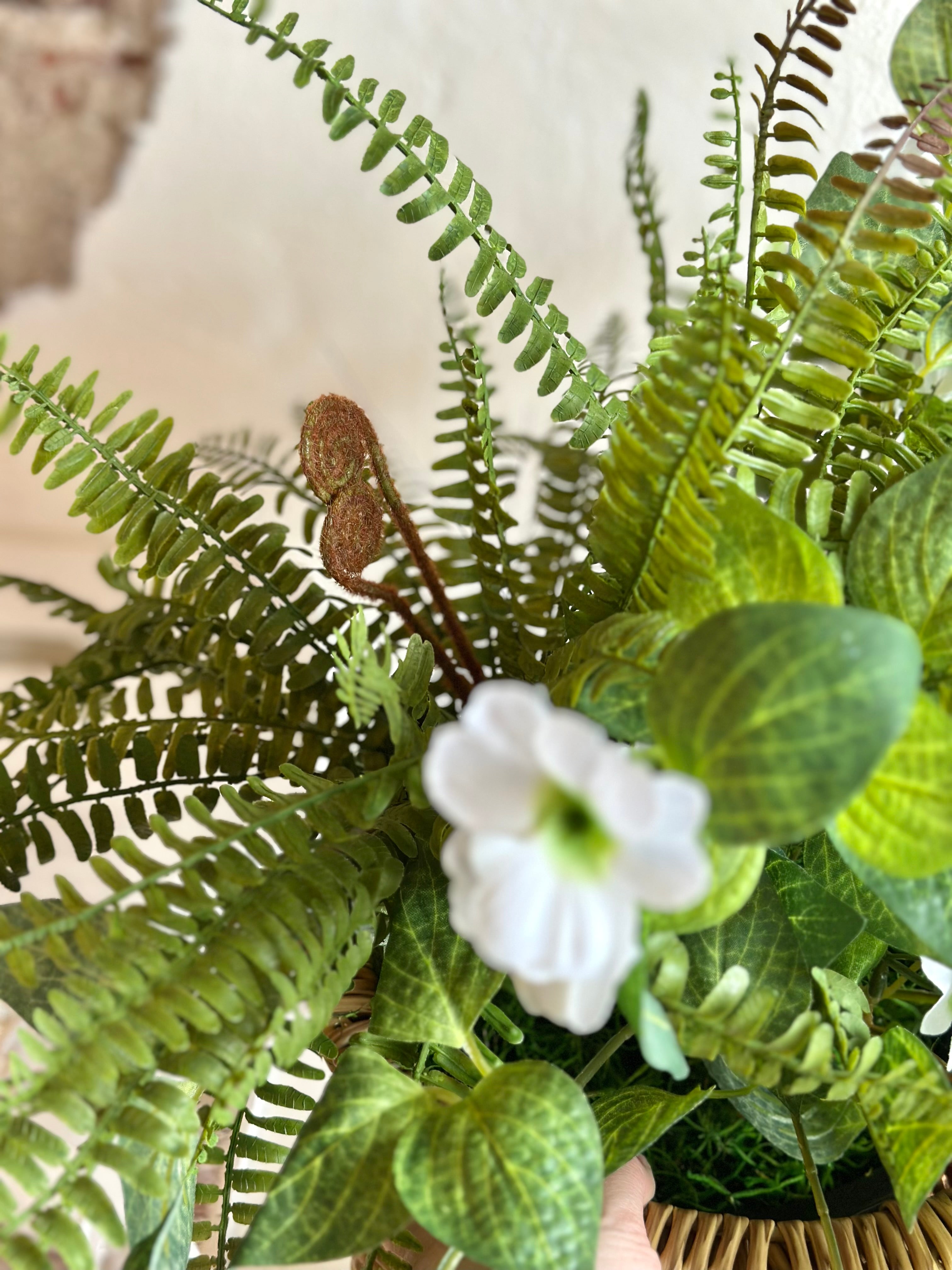 Petunia & Fern Arrangement